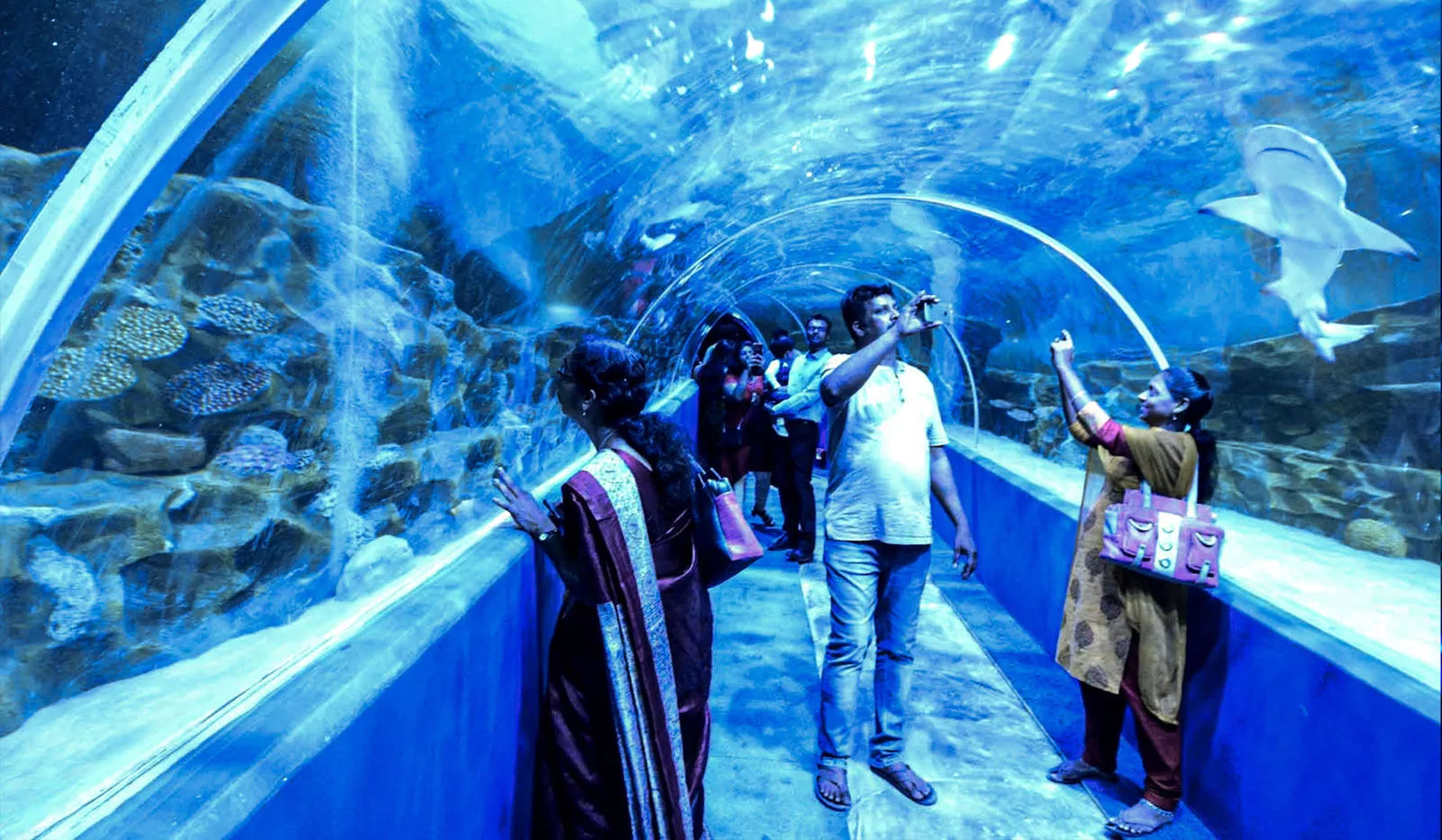 VGP Marine Kingdom in India, Central Asia | Aquariums & Oceanariums - Rated 4.1