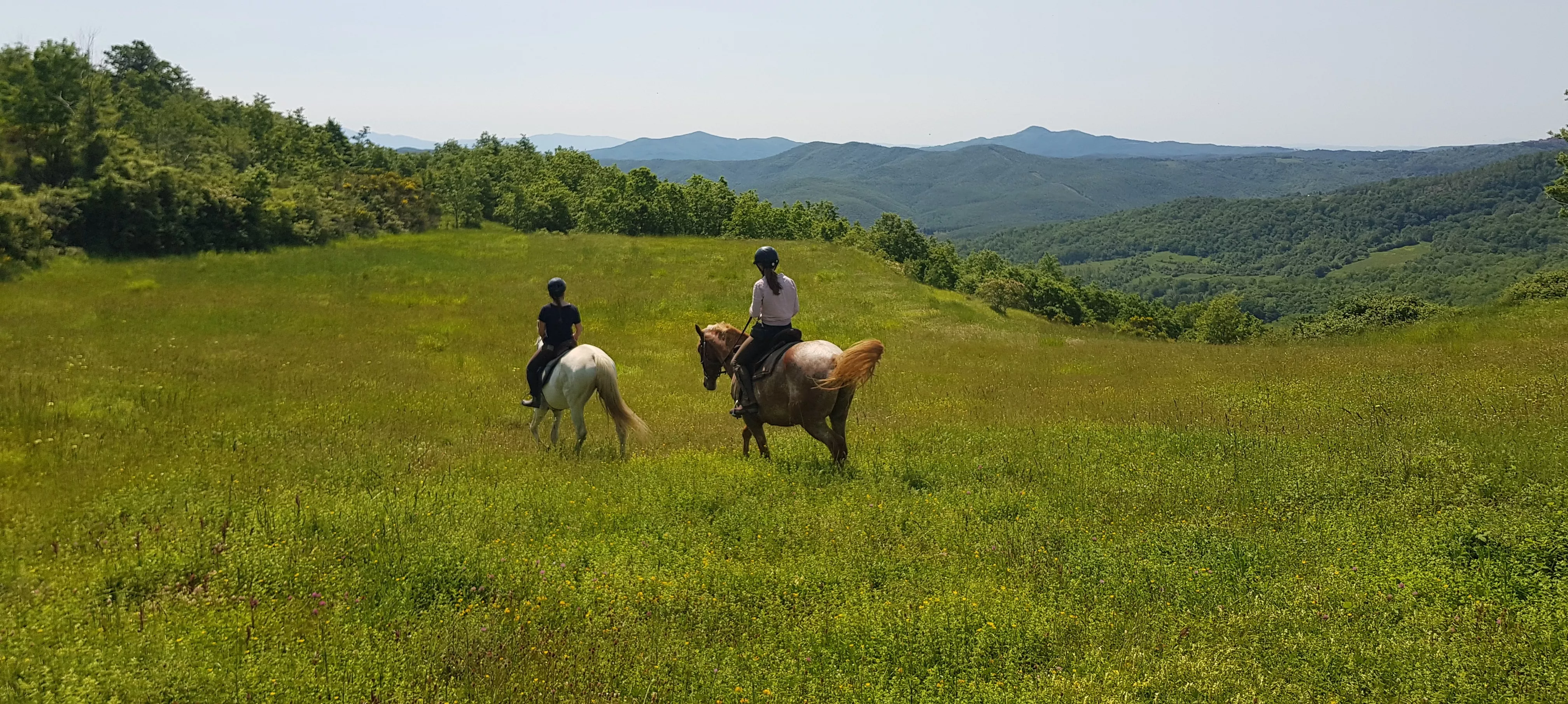 Vacanze Cavallo Toscana In maremma in Italy, Europe | Horseback Riding - Rated 1.2