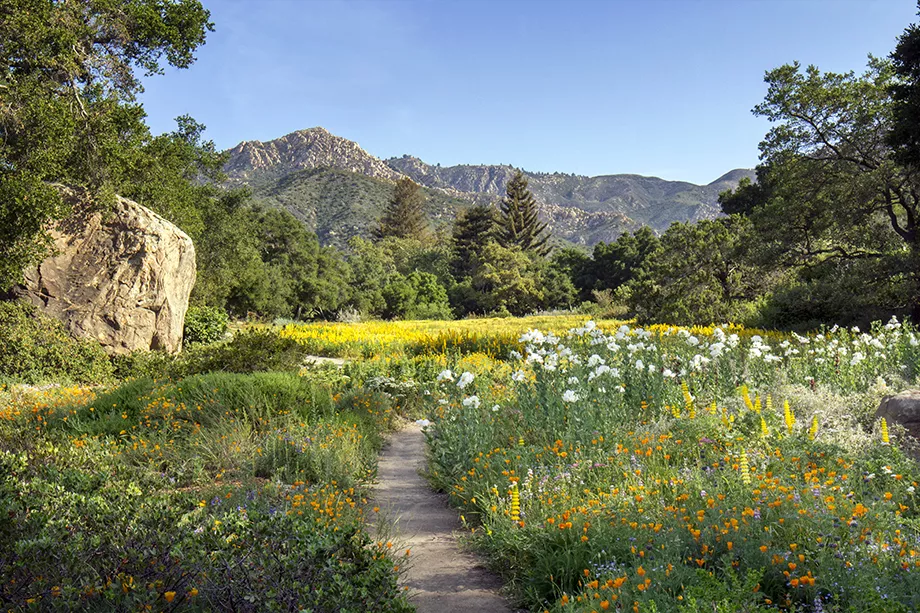 Santa Barbara Botanic Garden in USA, North America | Botanical Gardens - Rated 3.6