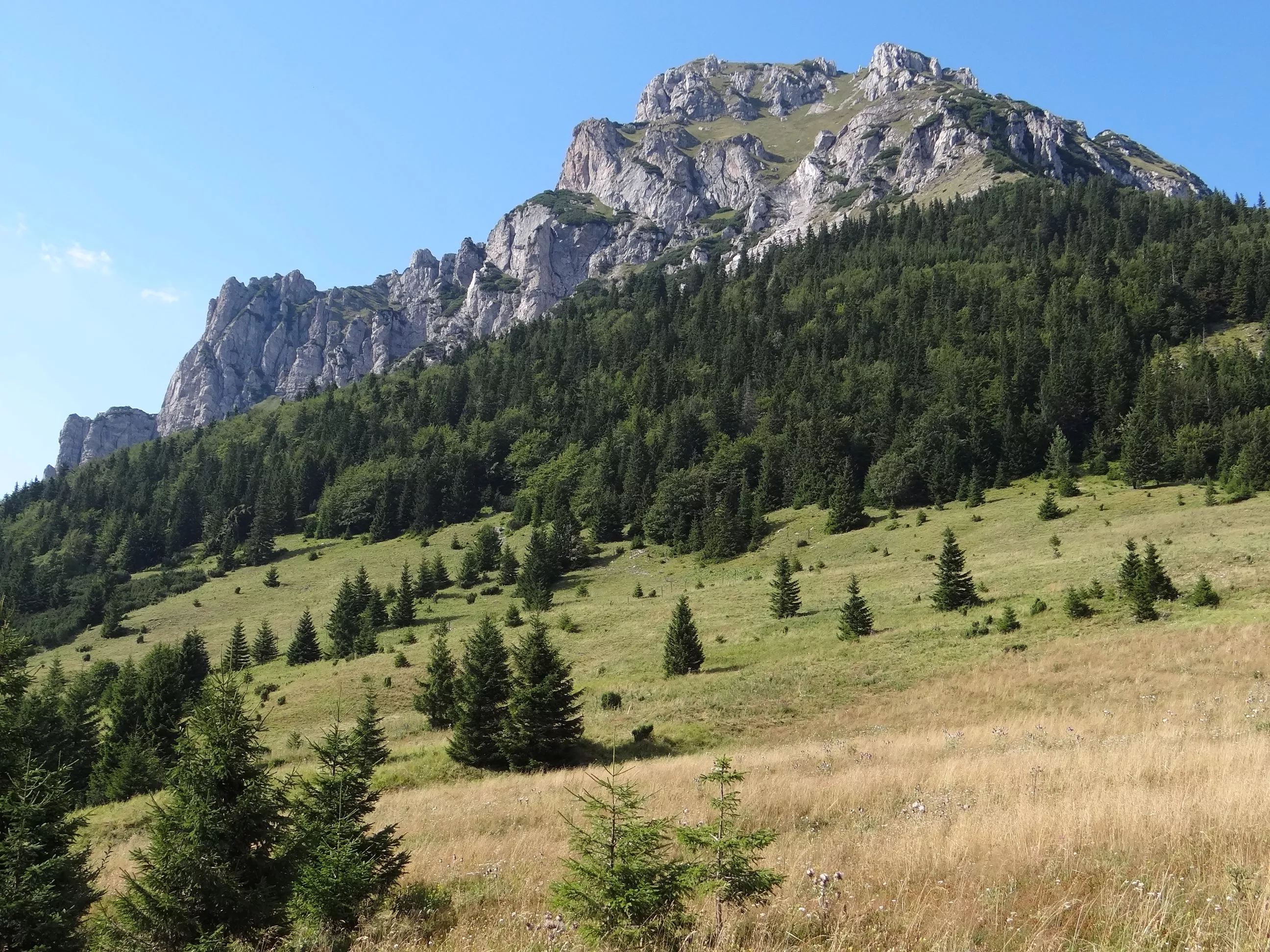Peak Velky Rozsutec in Slovakia, Europe | Trekking & Hiking - Rated 4