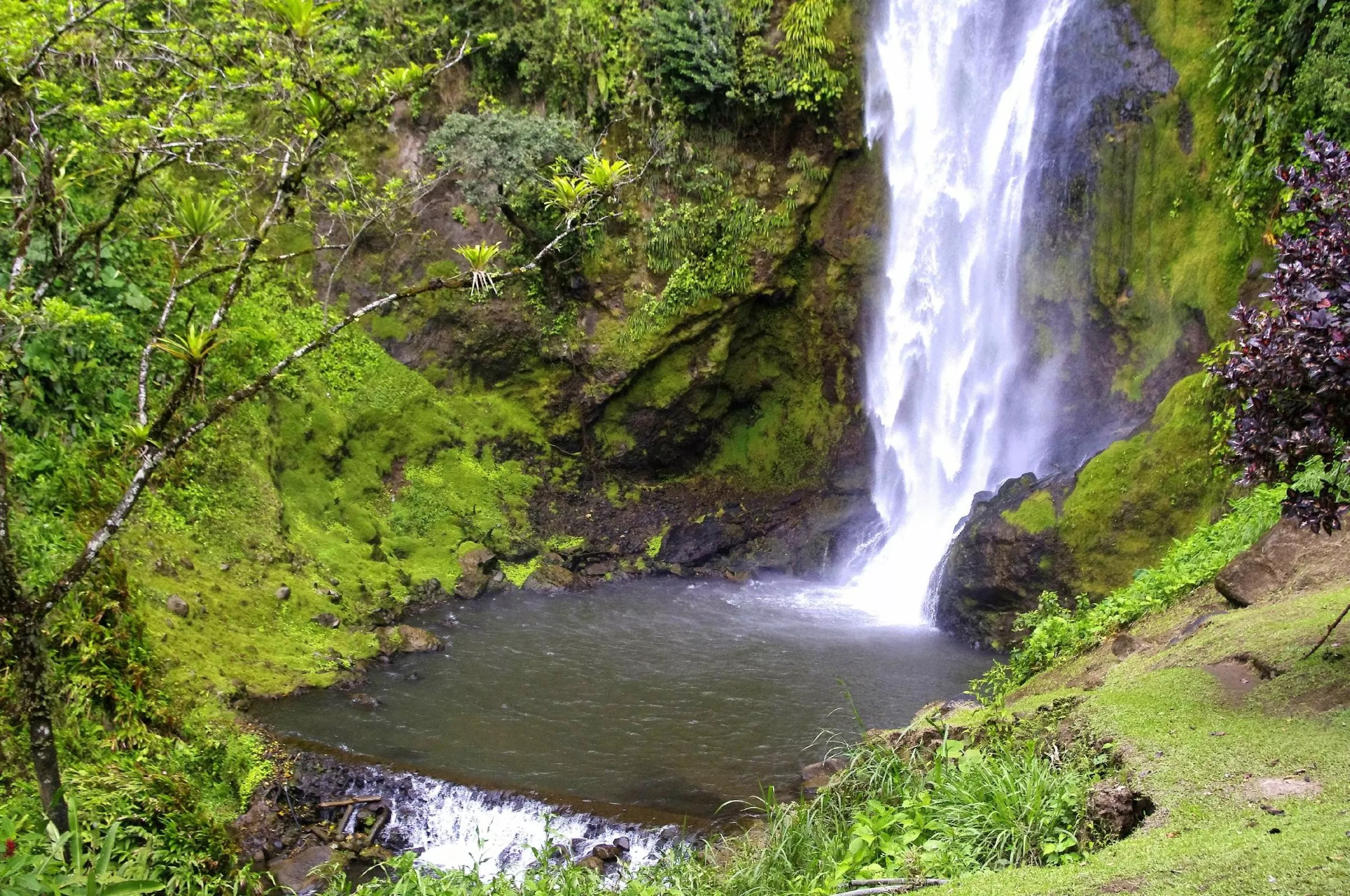 Viento Fresco Waterfall in Costa Rica, North America | Waterfalls - Rated 0.8