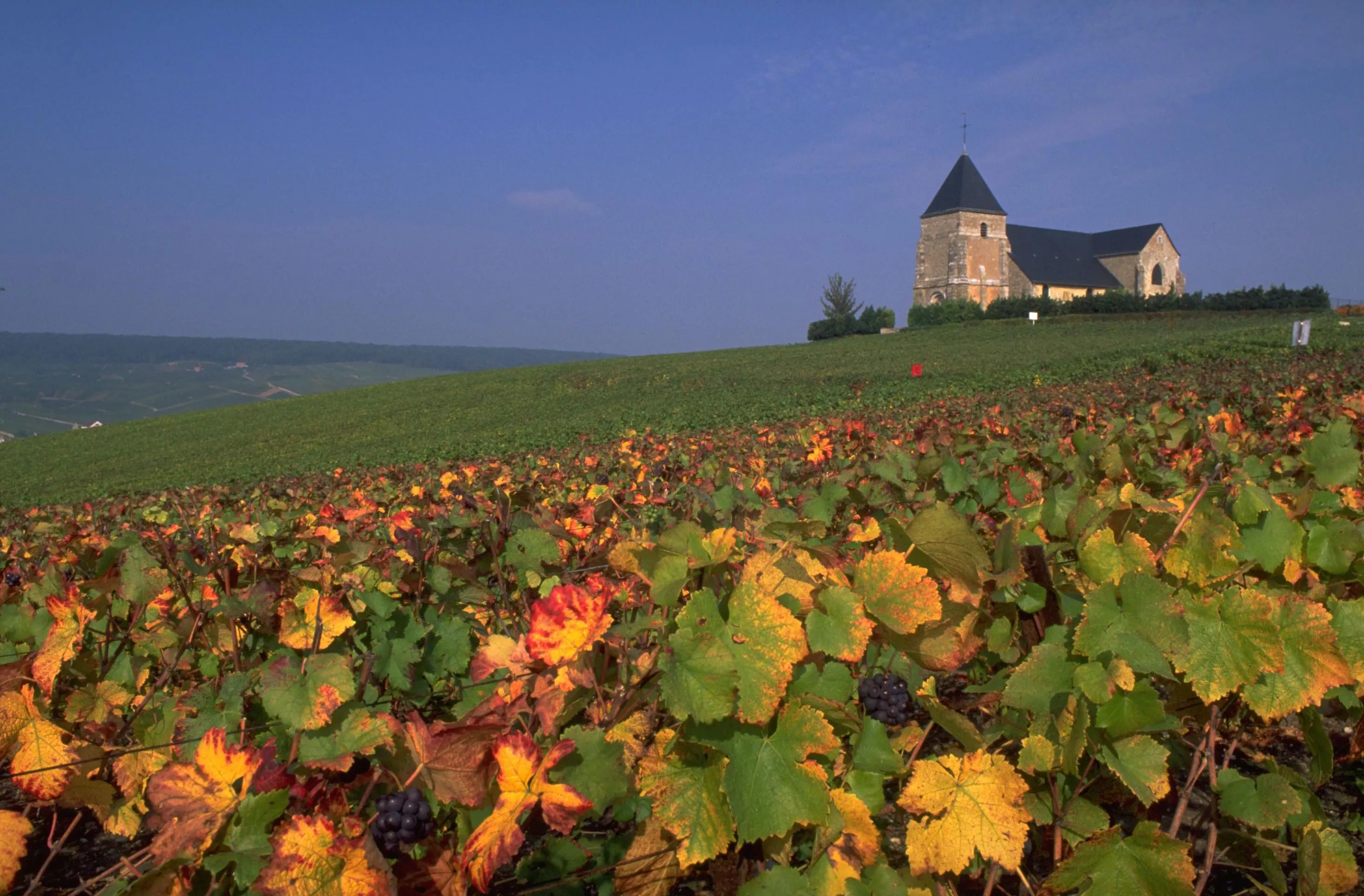 Vignoble Klur in France, Europe | Wineries - Rated 0.8