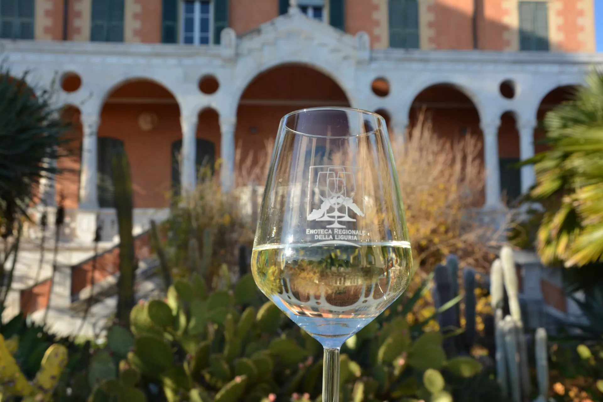 Vina Benazic in Croatia, Europe | Wineries - Rated 0.9