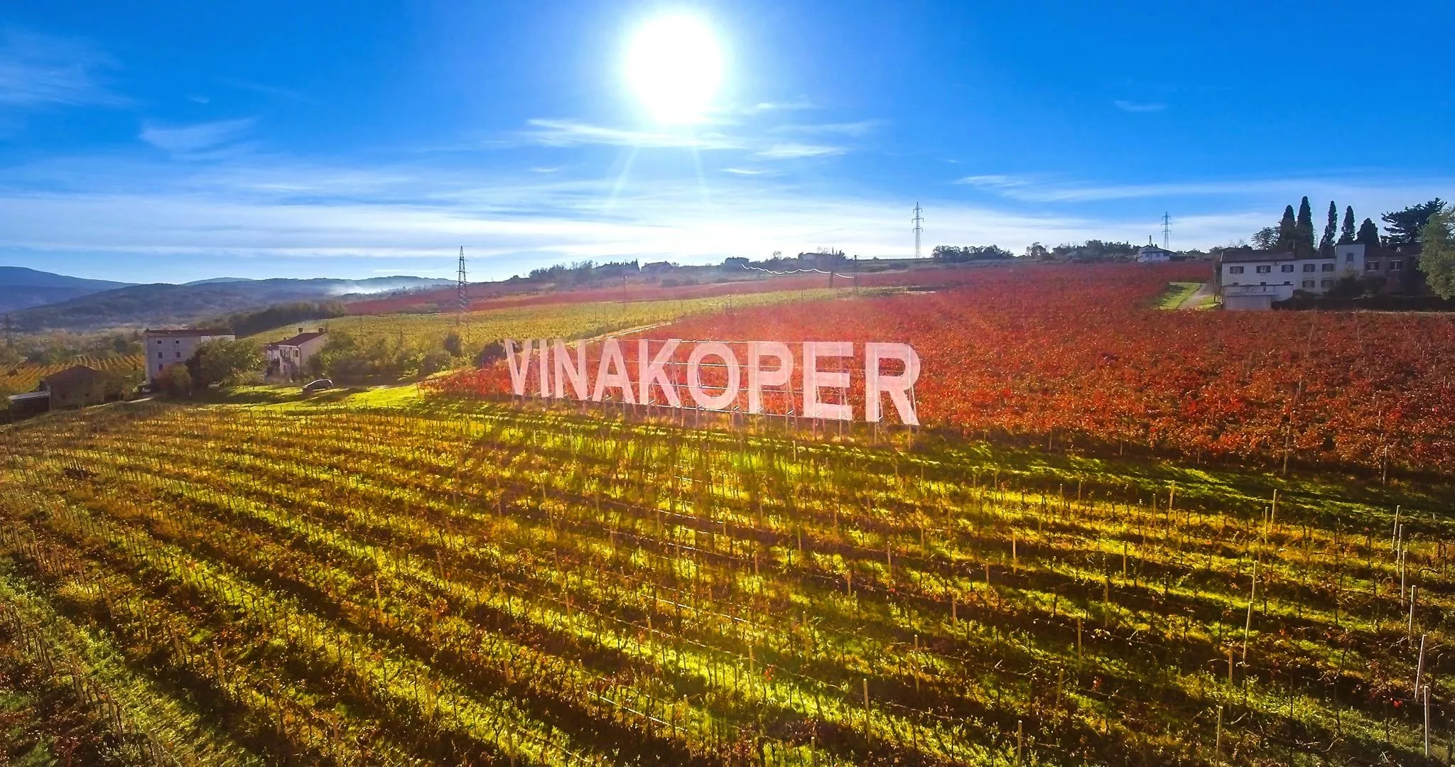 Vinakoper in Slovenia, Europe | Wineries - Rated 0.9