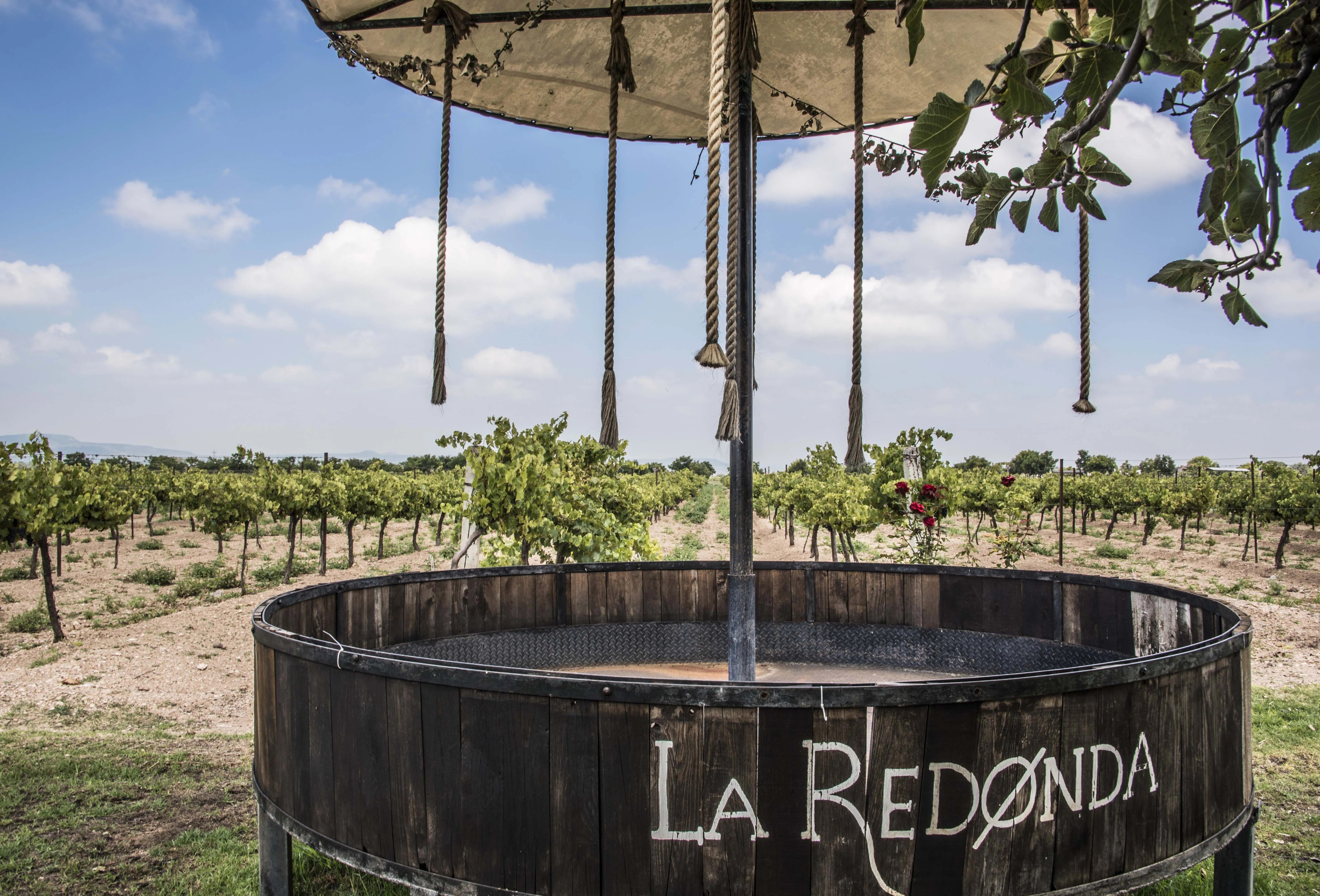 La Redonda Wineries in Mexico, North America | Wineries - Rated 5.3