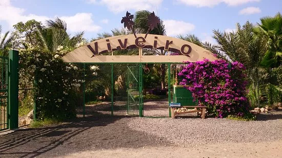 Viveiro Botanical Garden in Cape Verde, Africa | Botanical Gardens - Rated 3.7