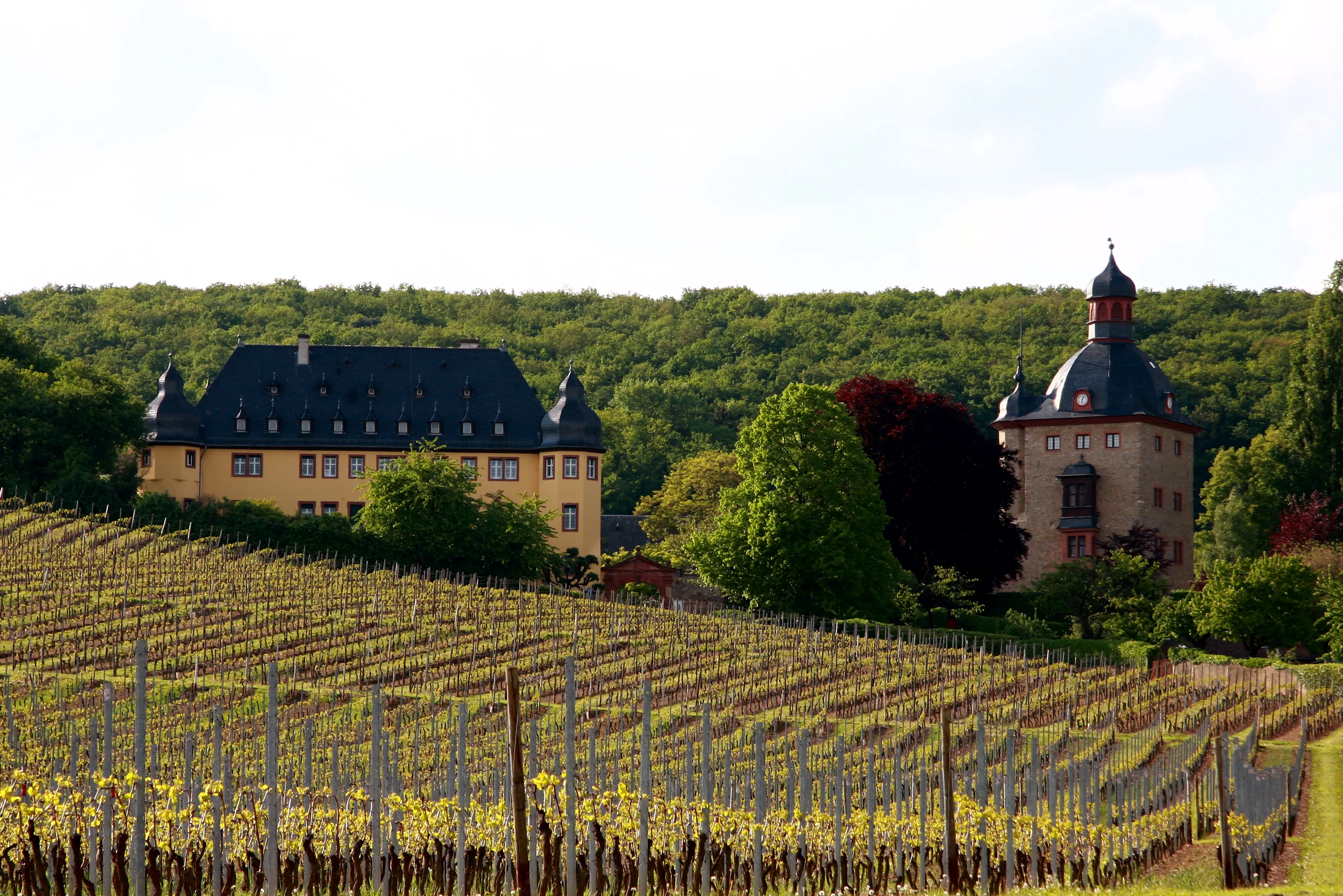 Vollrads Castle Winery in Germany, Europe | Wineries,Castles - Rated 3.7