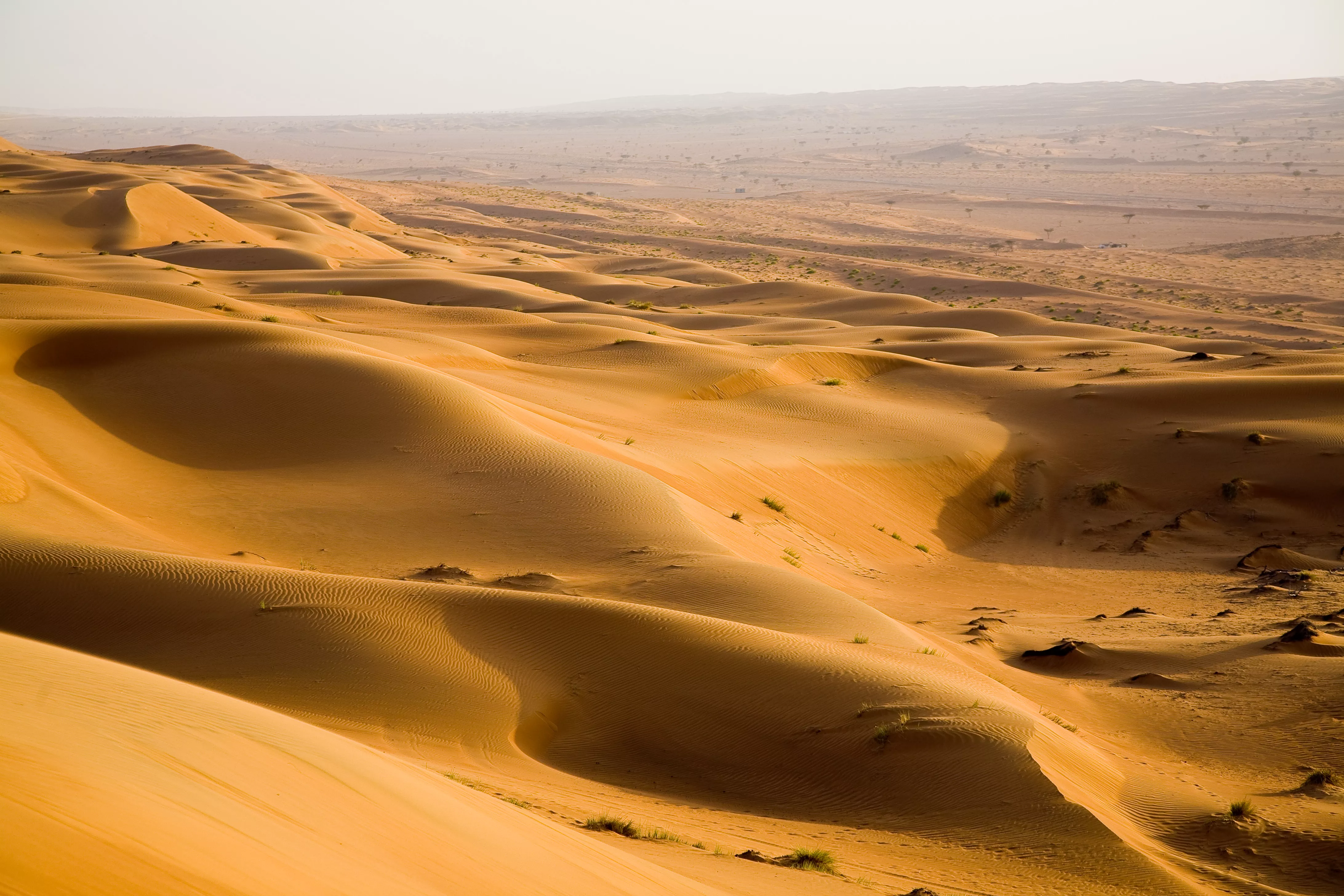 Great Sand Sea in Egypt, Africa | Deserts,Sandboarding - Rated 1