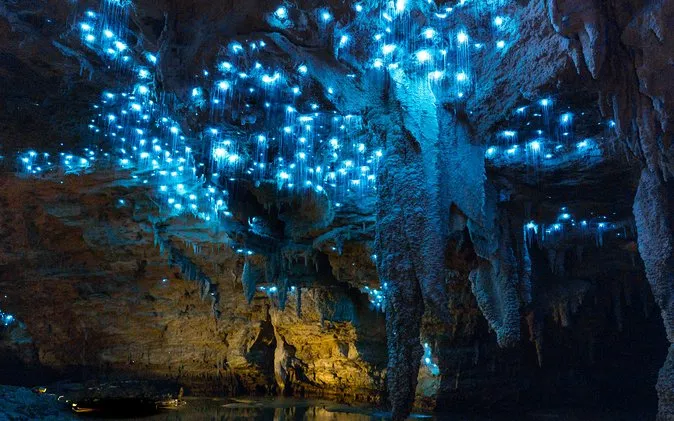 Waitomo Glowworm Caves in New Zealand, Australia and Oceania | Caves & Underground Places,Speleology - Rated 4.5