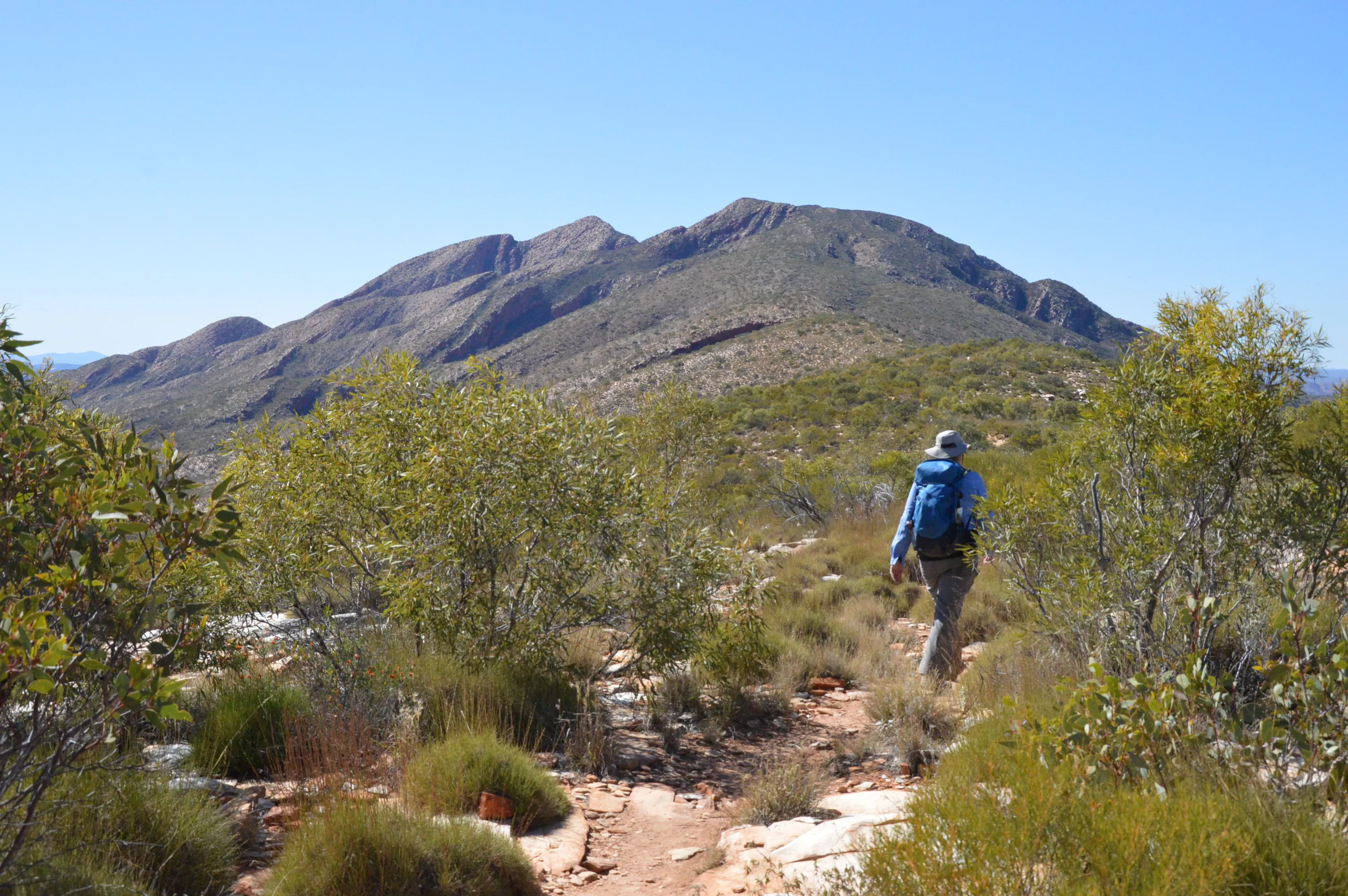 Larapinta Trail in Australia, Australia and Oceania | Trekking & Hiking - Rated 4