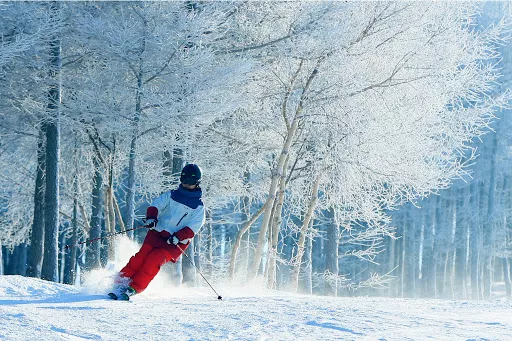 Wanlong Ski Resort in China, East Asia | Snowboarding,Skiing - Rated 3.7