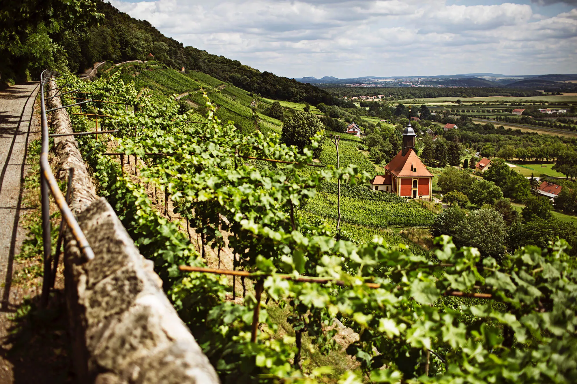 Weegmuller in Germany, Europe | Wineries - Rated 0.9