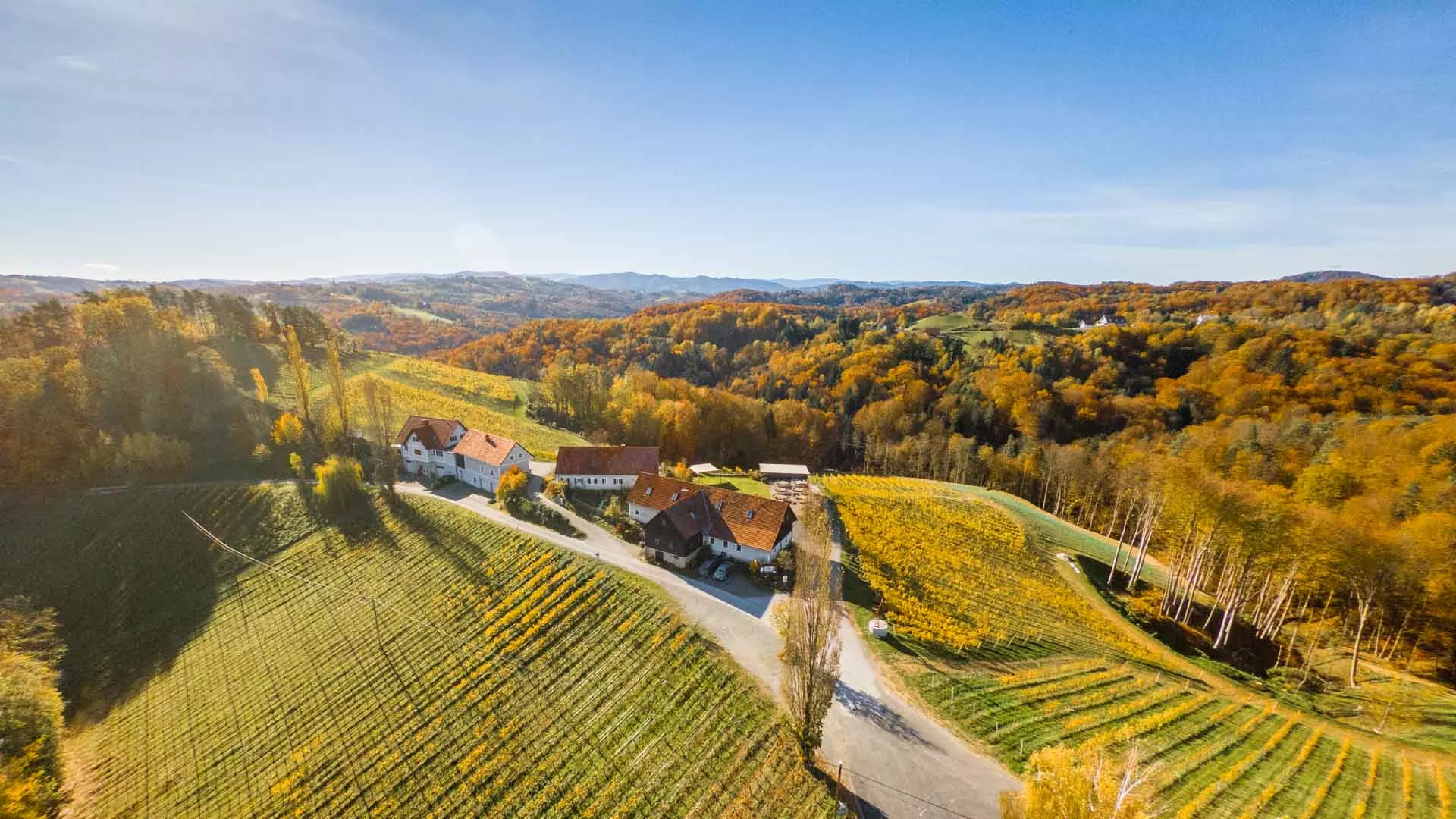 Johann Schlosinger Winery in Austria, Europe | Wineries - Rated 0.9