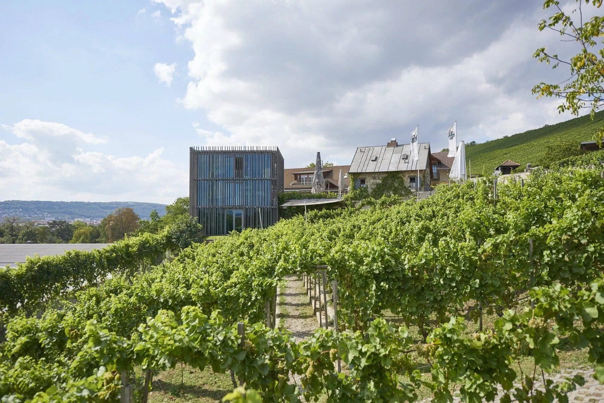 Clauer Winery in Germany, Europe | Wineries - Rated 0.8