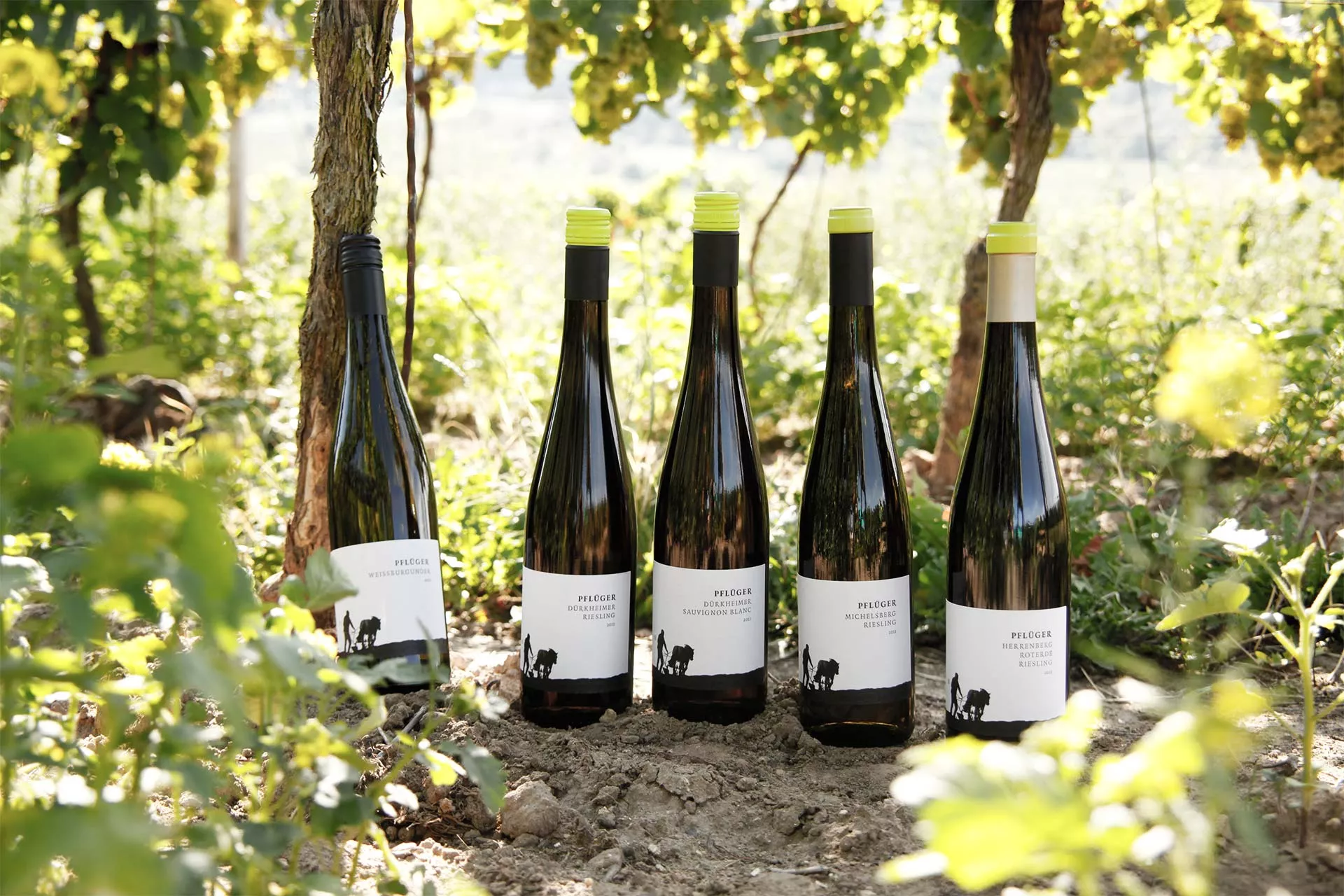 Drei Herren Winery in Germany, Europe | Wineries - Rated 0.8