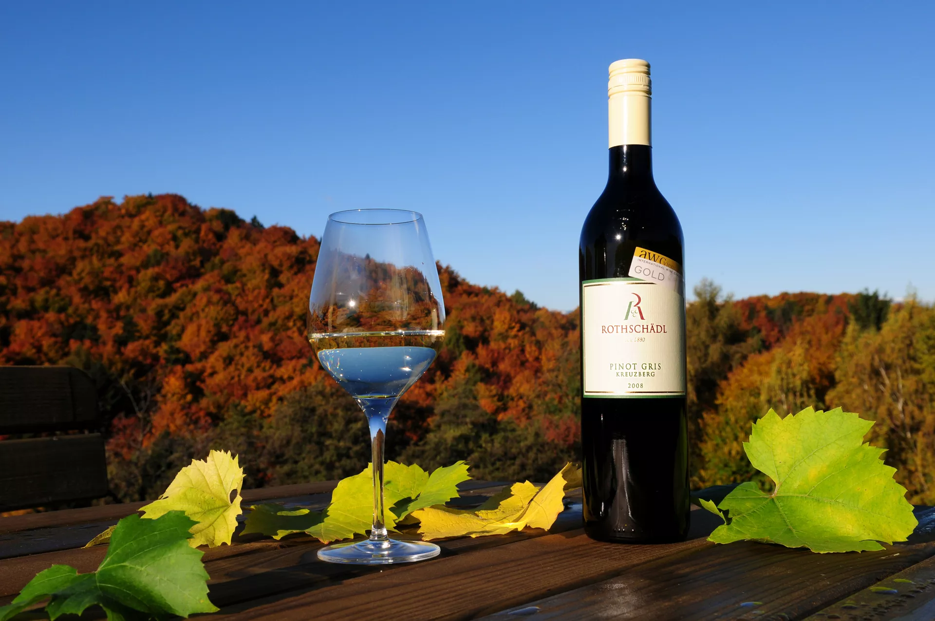 Hermenegild Mang Winery in Austria, Europe | Wineries - Rated 3.7