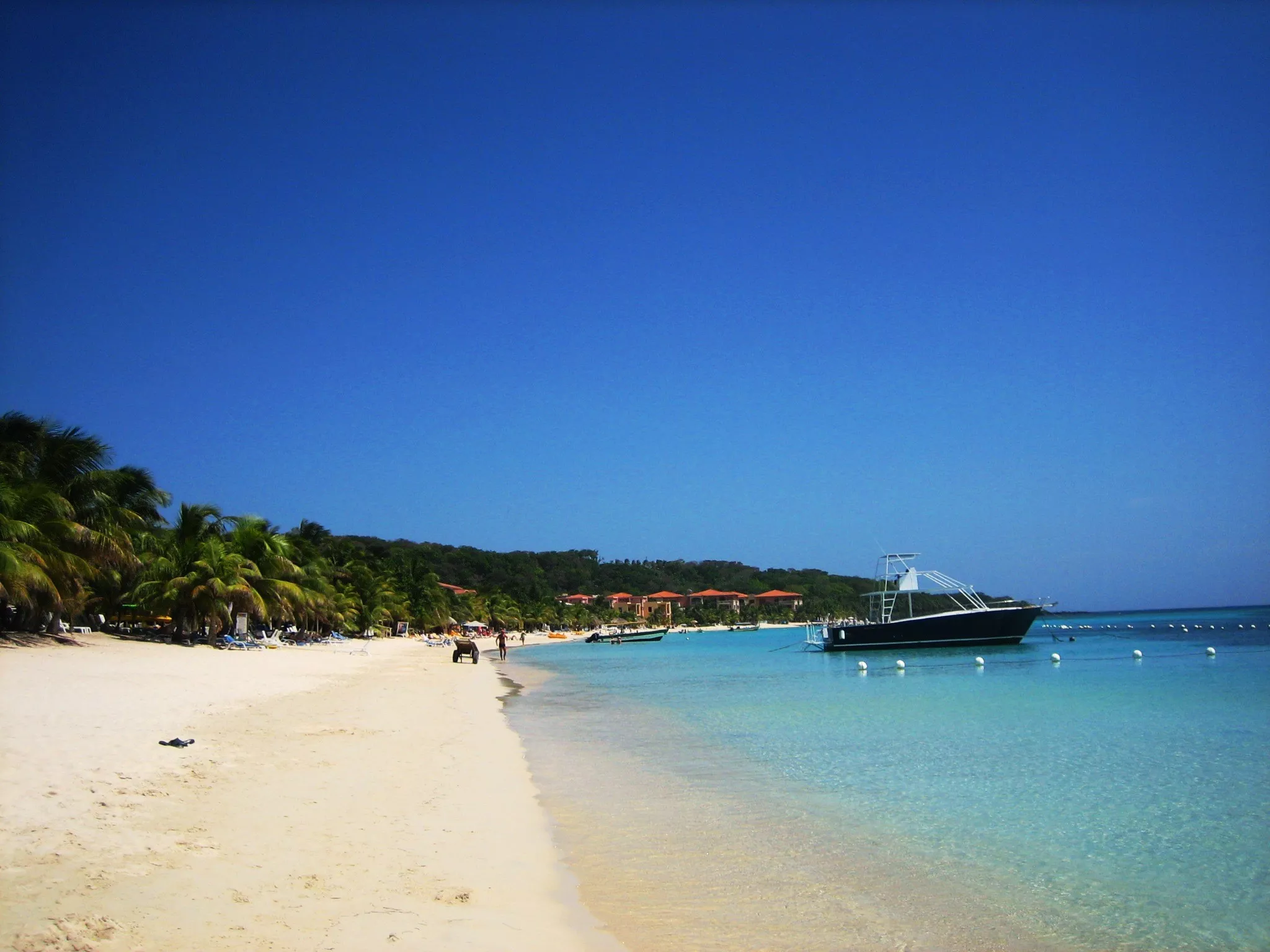 West Bay Beach in Honduras, North America | Beaches,Snorkelling - Rated 4.4