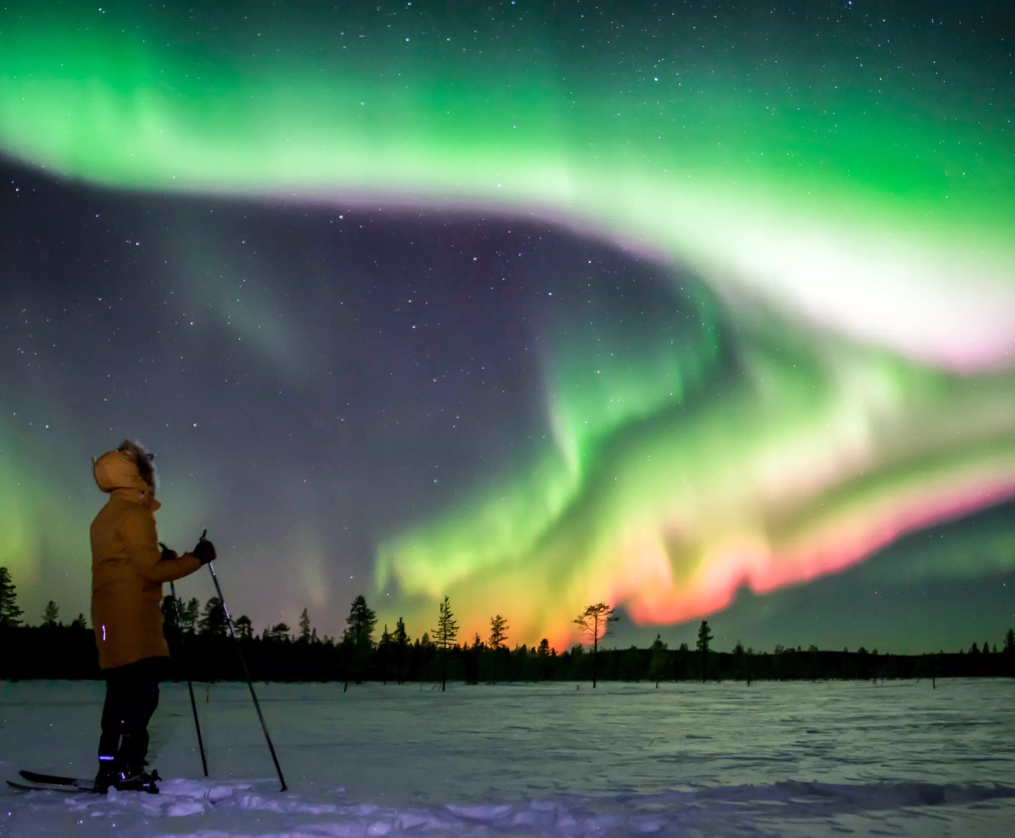 Wildmaker Lapland in Finland, Europe | Excursions - Rated 1