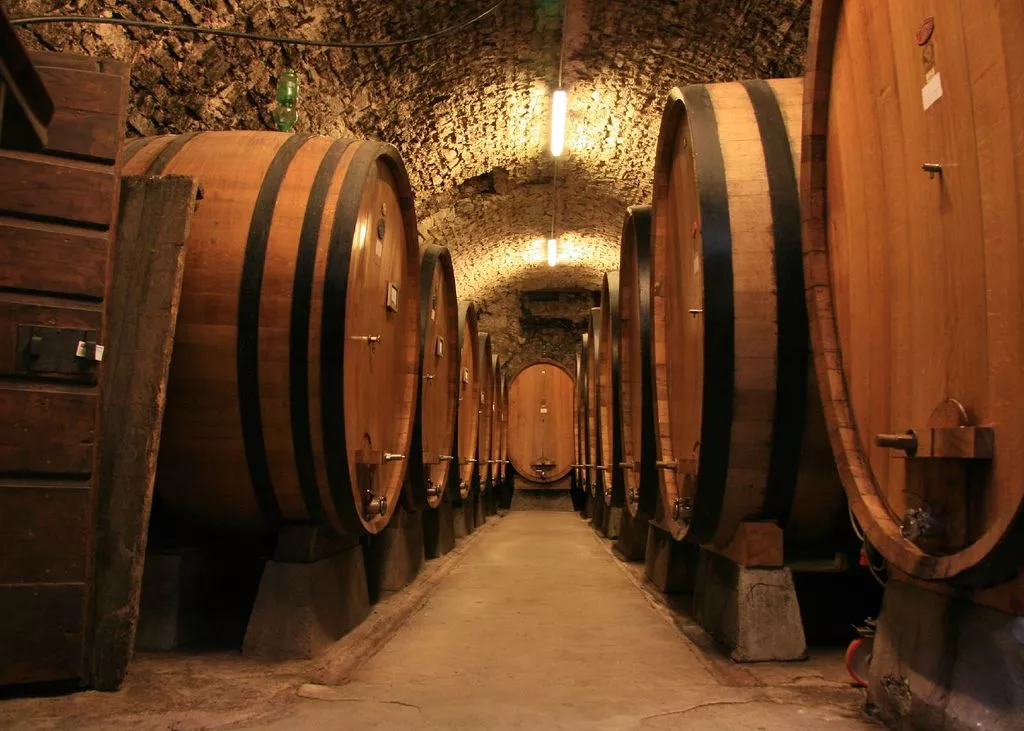 Wine Museum in France, Europe | Museums,Wineries - Rated 3.5