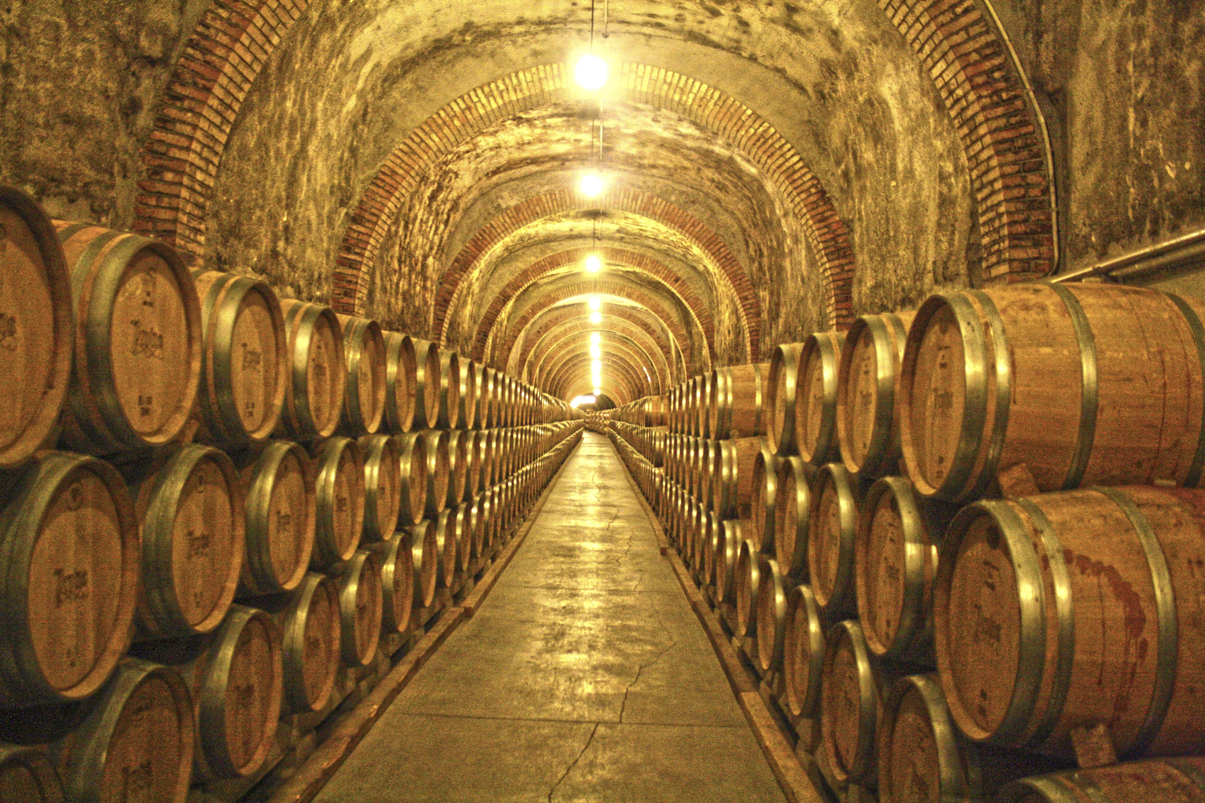 Wine Cellar Probus in Serbia, Europe | Wineries - Rated 0.9