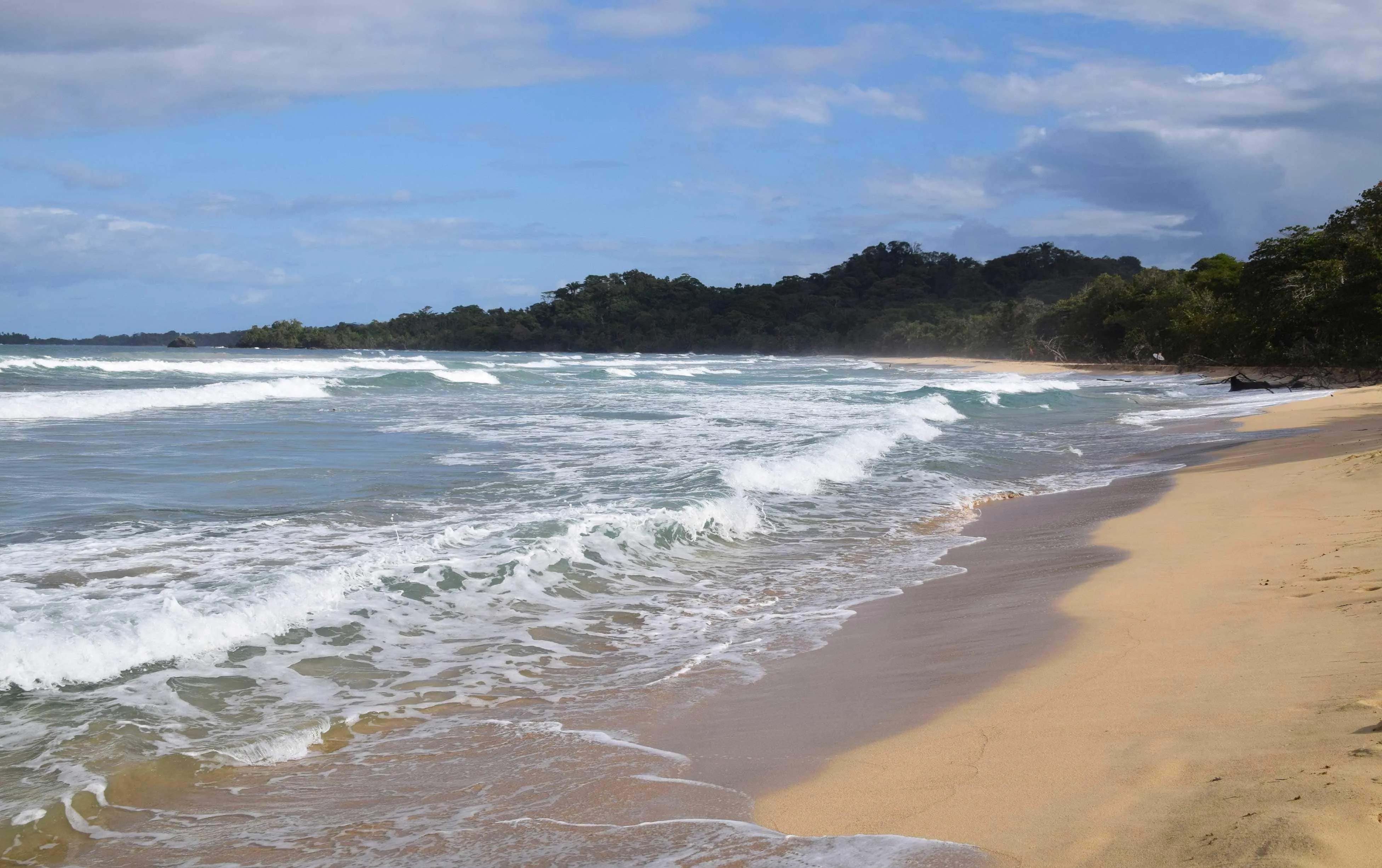 Wizard Beach in Panama, North America | Beaches,Scuba Diving - Rated 0.8