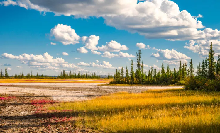 Wood Buffalo National Park in Canada, North America | Parks - Rated 3.3