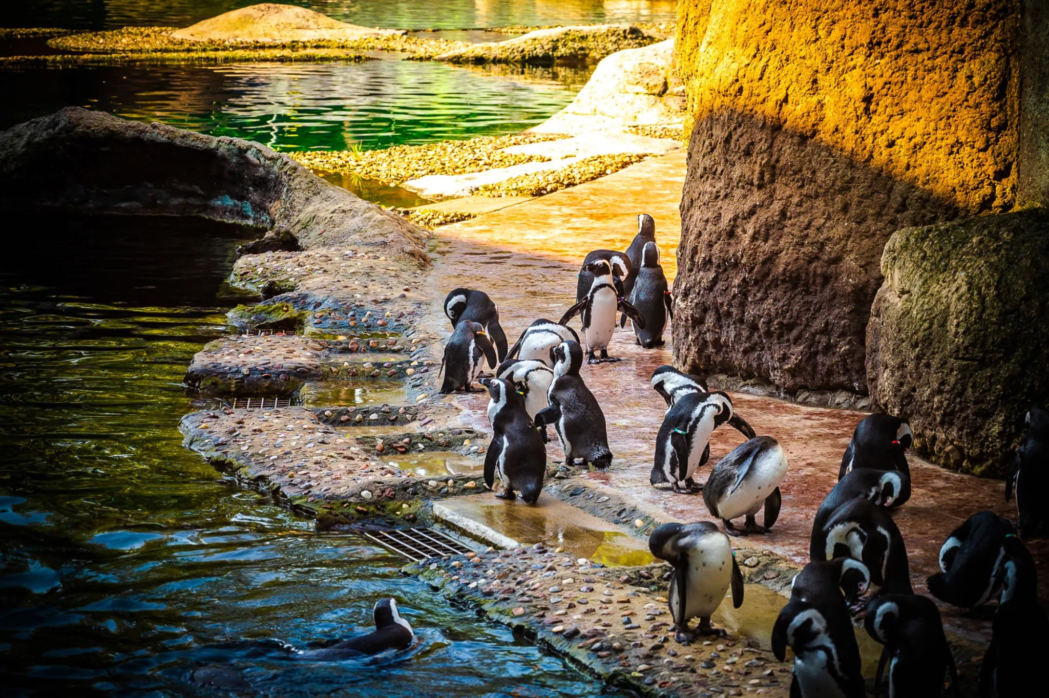 Wroclaw Zoo in Poland, Europe | Zoos & Sanctuaries - Rated 9.8