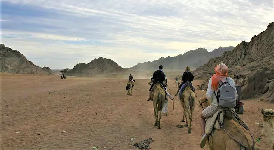 YallaHorse in Egypt, Africa | Horseback Riding - Rated 0.9