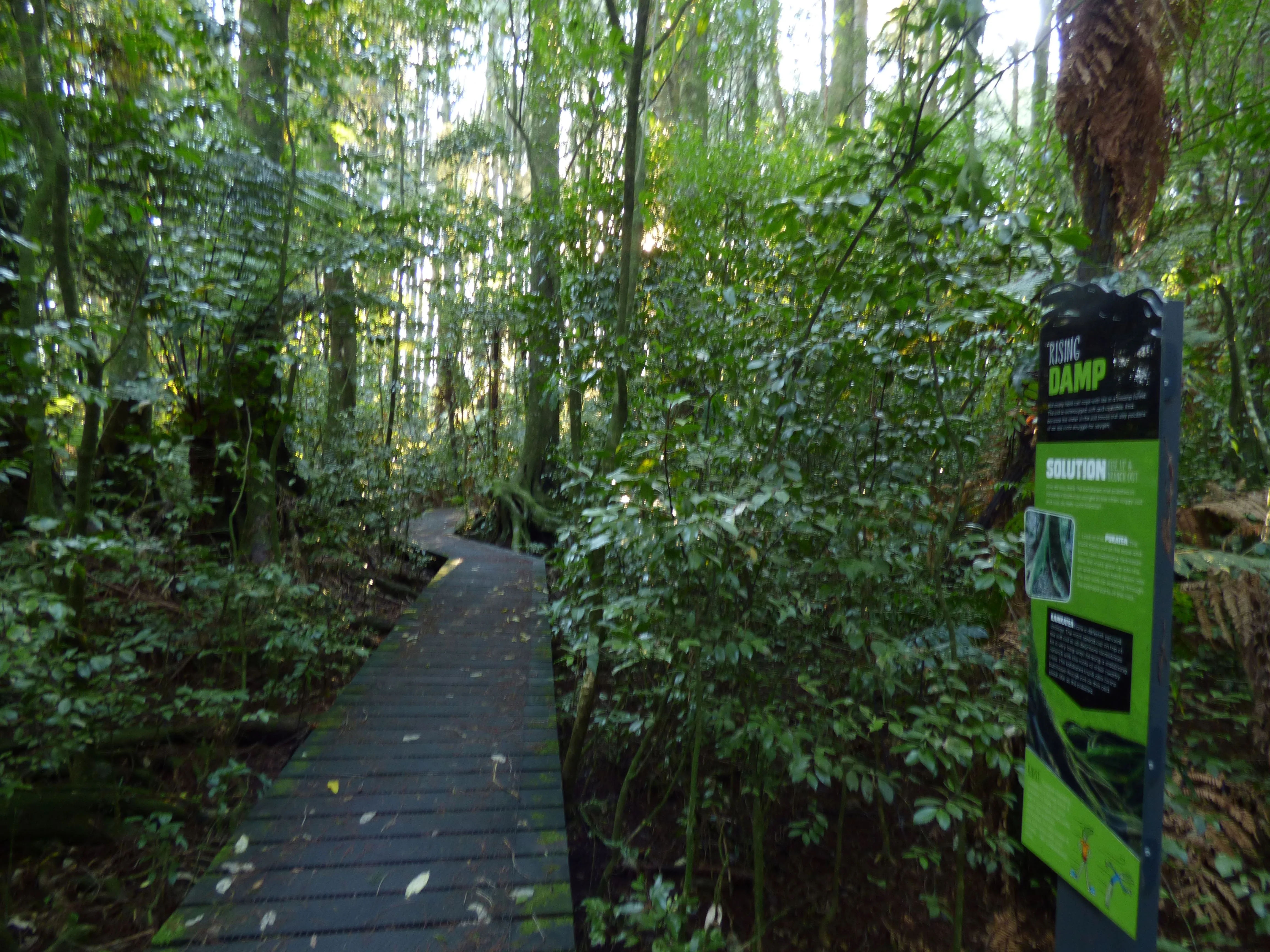 Yarndleys Bush in New Zealand, Australia and Oceania | Nature Reserves,Trekking & Hiking - Rated 0.8