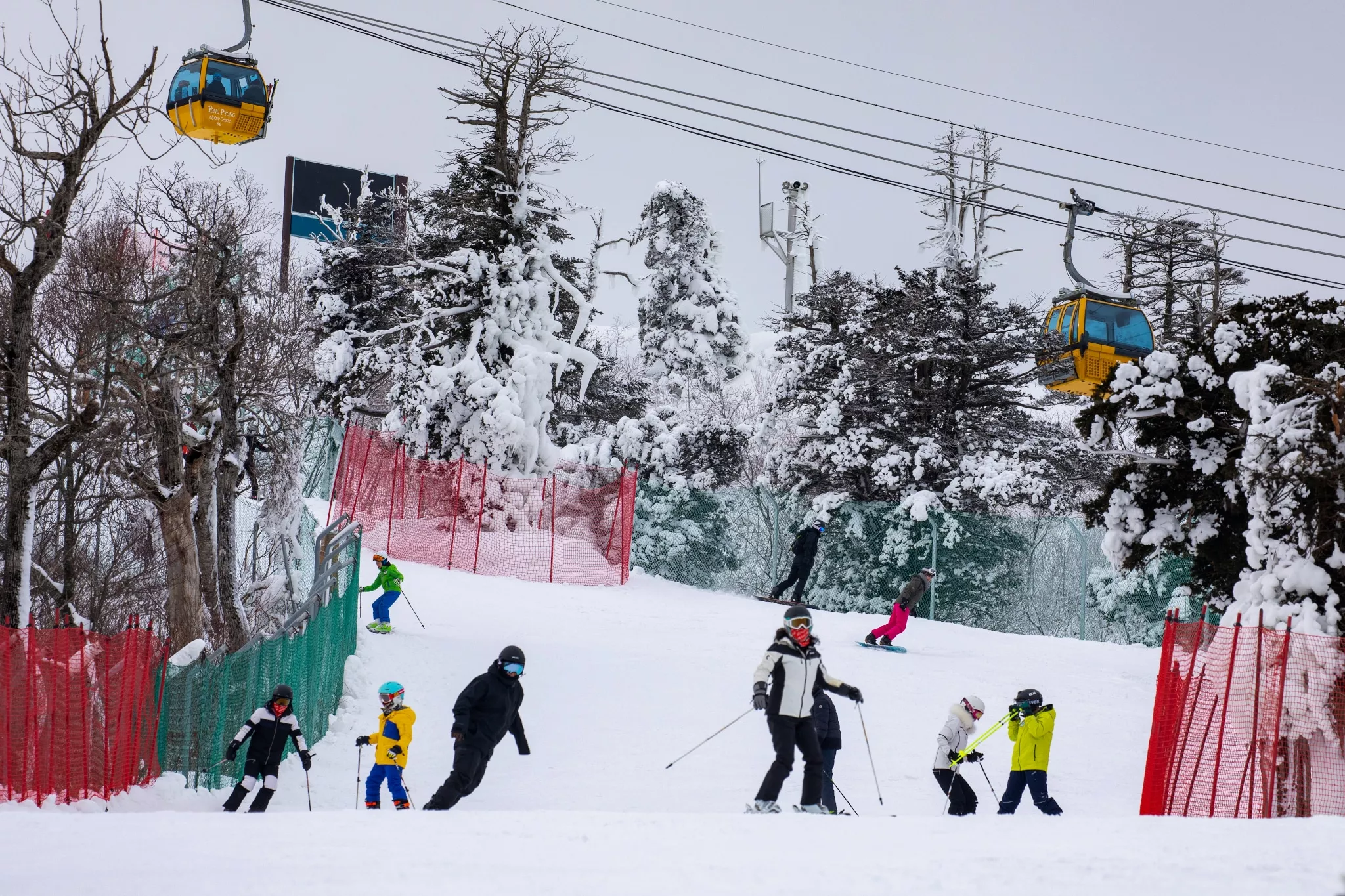 Yongpyong Ski Resort in South Korea, East Asia | Snowboarding,Skiing,Snowmobiling - Rated 3.9