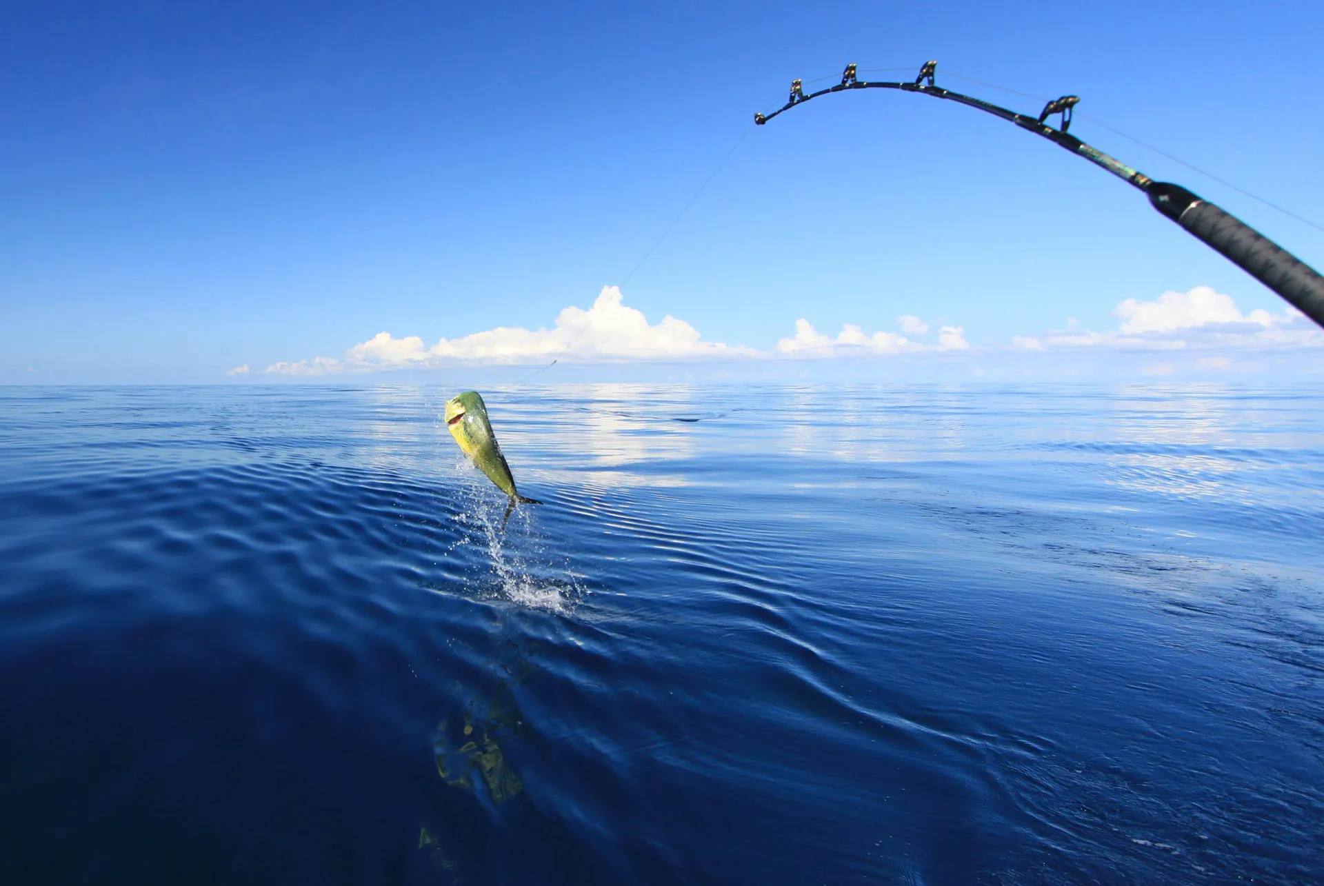 Zanzibar Deep Sea Fishing in Tanzania, Africa | Fishing - Rated 0.7