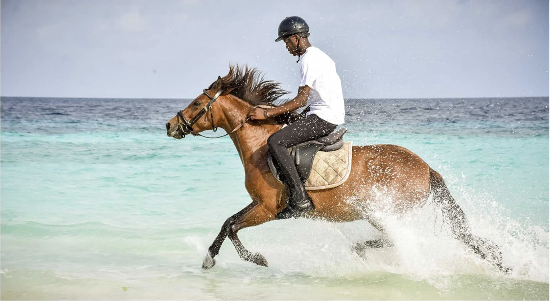 Zanzibar Horse Club in Tanzania, Africa | Horseback Riding - Rated 1