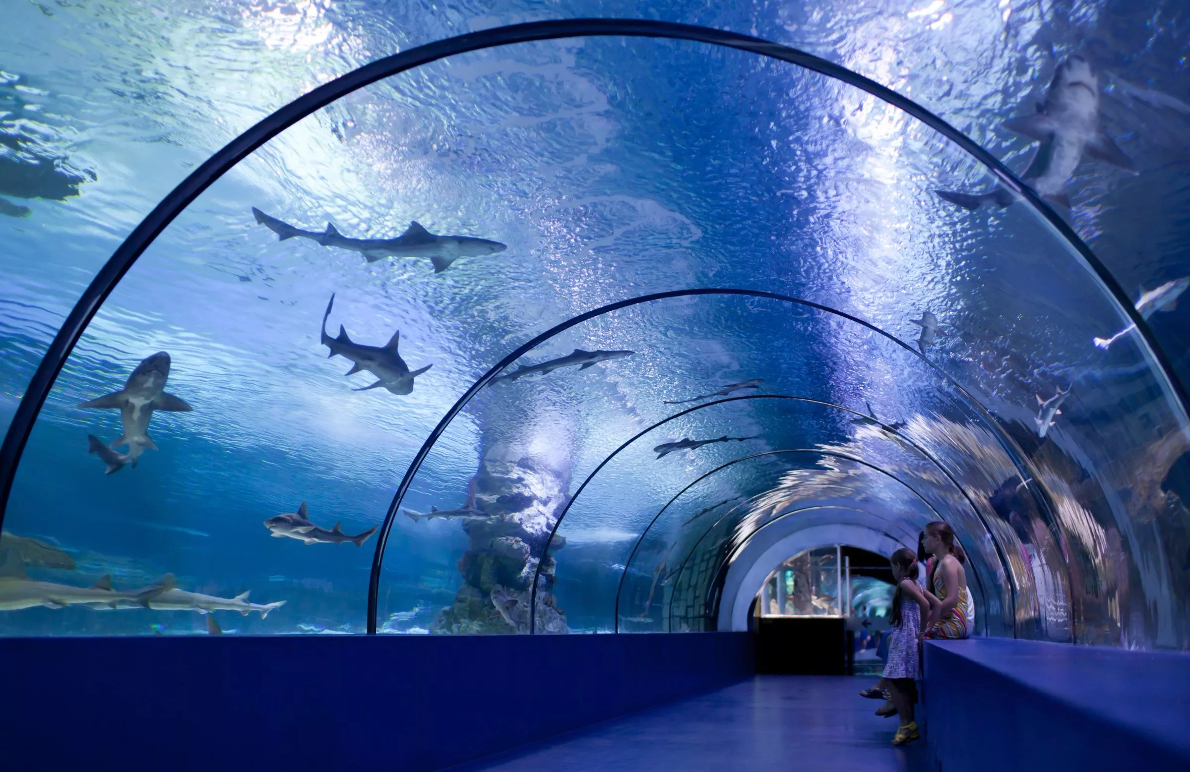 The Osaka Aquarium Kaiyukan in Japan, East Asia | Aquariums & Oceanariums - Rated 6.9