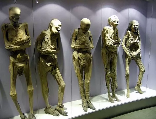 The Museum of Mummies in Mexico, North America | Museums - Rated 4.1
