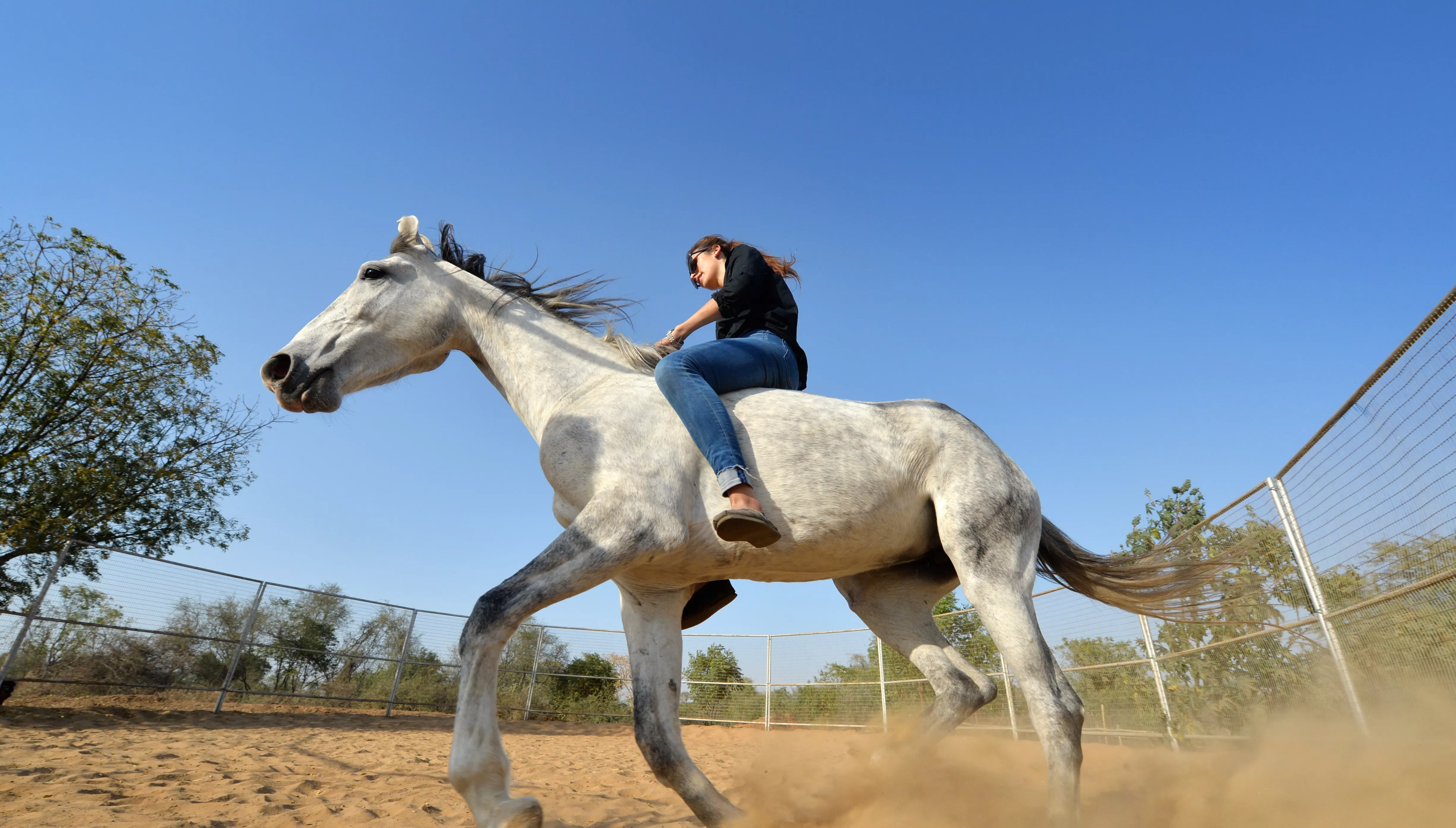 Gurgaon Horse Club in India, Central Asia | Horseback Riding - Rated 1