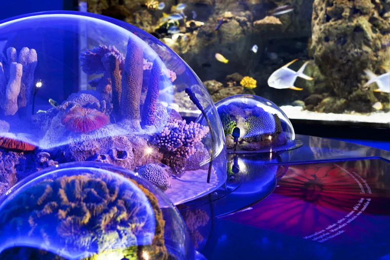 Istanbul Aquarium in Turkey, Central Asia | Aquariums & Oceanariums - Rated 5.7