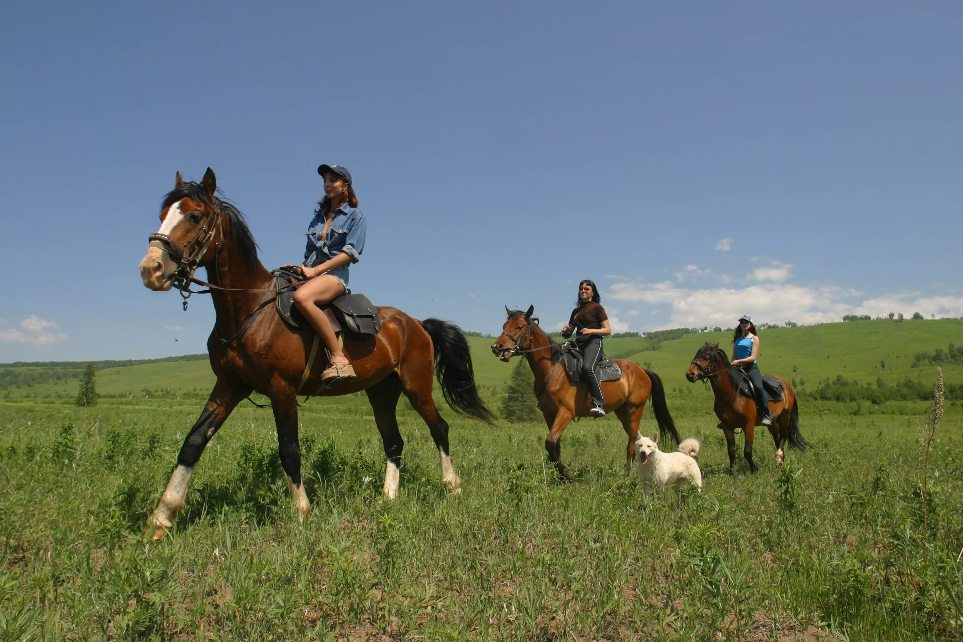 Horse Riding Lviv in Ukraine, Europe | Horseback Riding - Rated 1.1