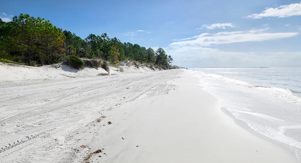Amelia Island in USA, North America | Beaches - Rated 3.7