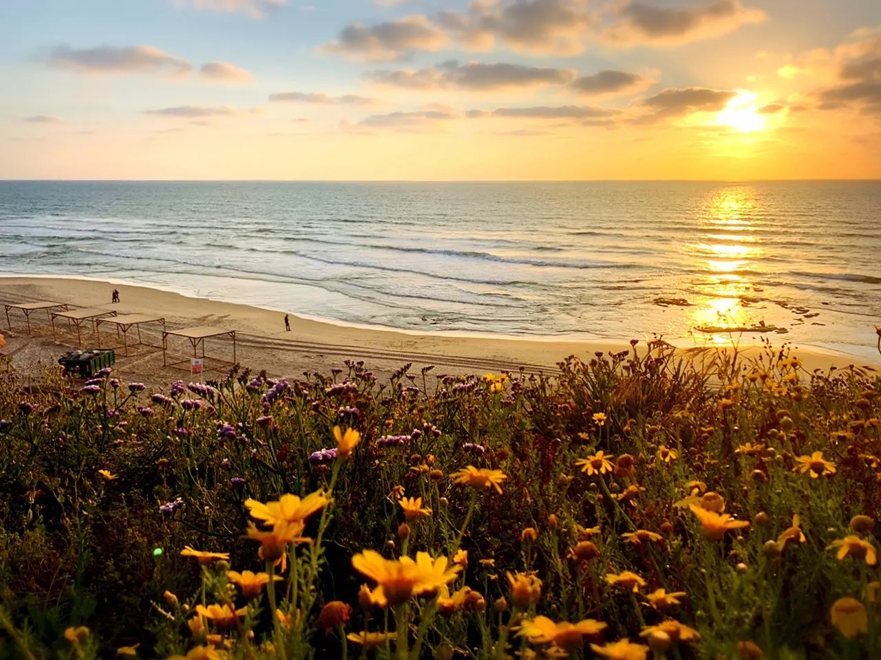 Pier Bat Yam in Israel, Middle East | Beaches - Rated 3.7