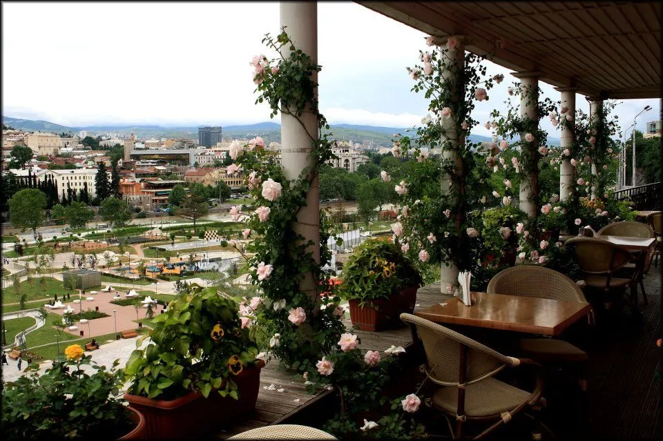 Flowers in Georgia, Europe | Cafes - Rated 3.4