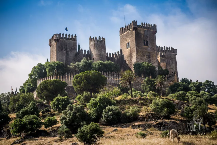 Castillo Almodovar del Rio in Spain, Europe | Castles - Rated 4