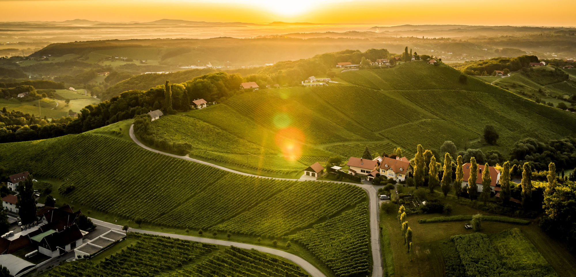 Weingut Primus in Austria, Europe | Wineries - Rated 0.9