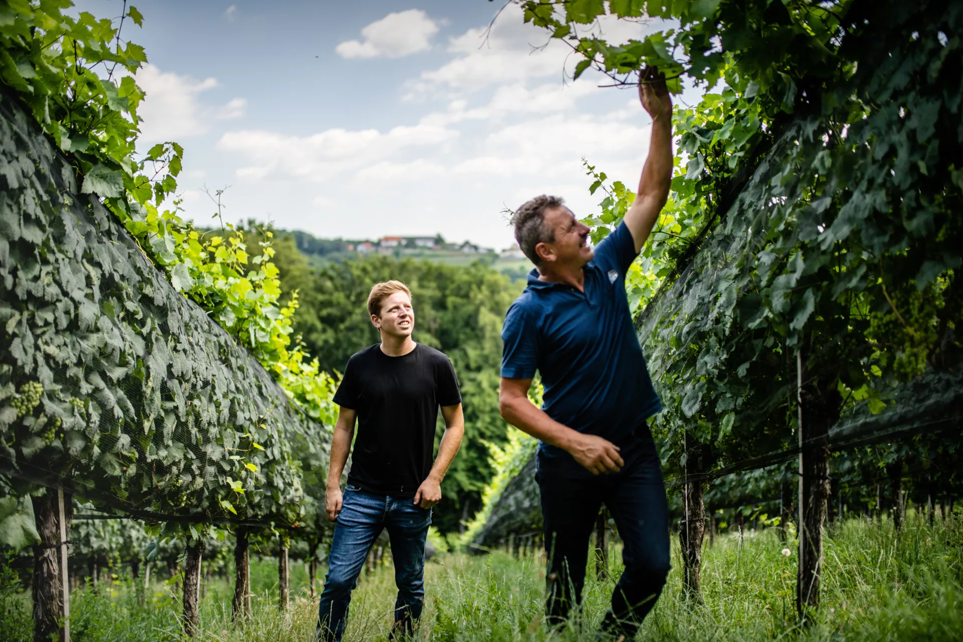 Harald and Jurgen Krebs GbR Winery in Germany, Europe | Wineries - Rated 0.8