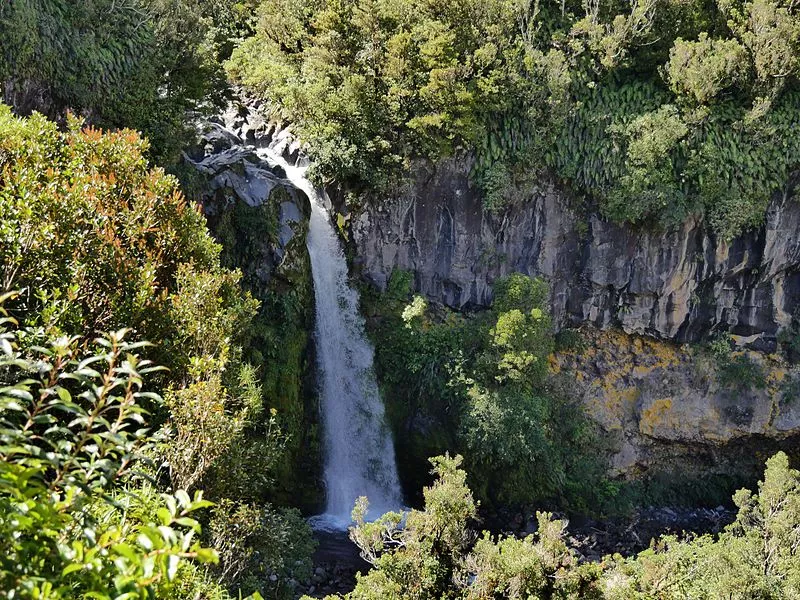 Dawson Falls in New Zealand, Australia and Oceania | Waterfalls - Rated 3.8