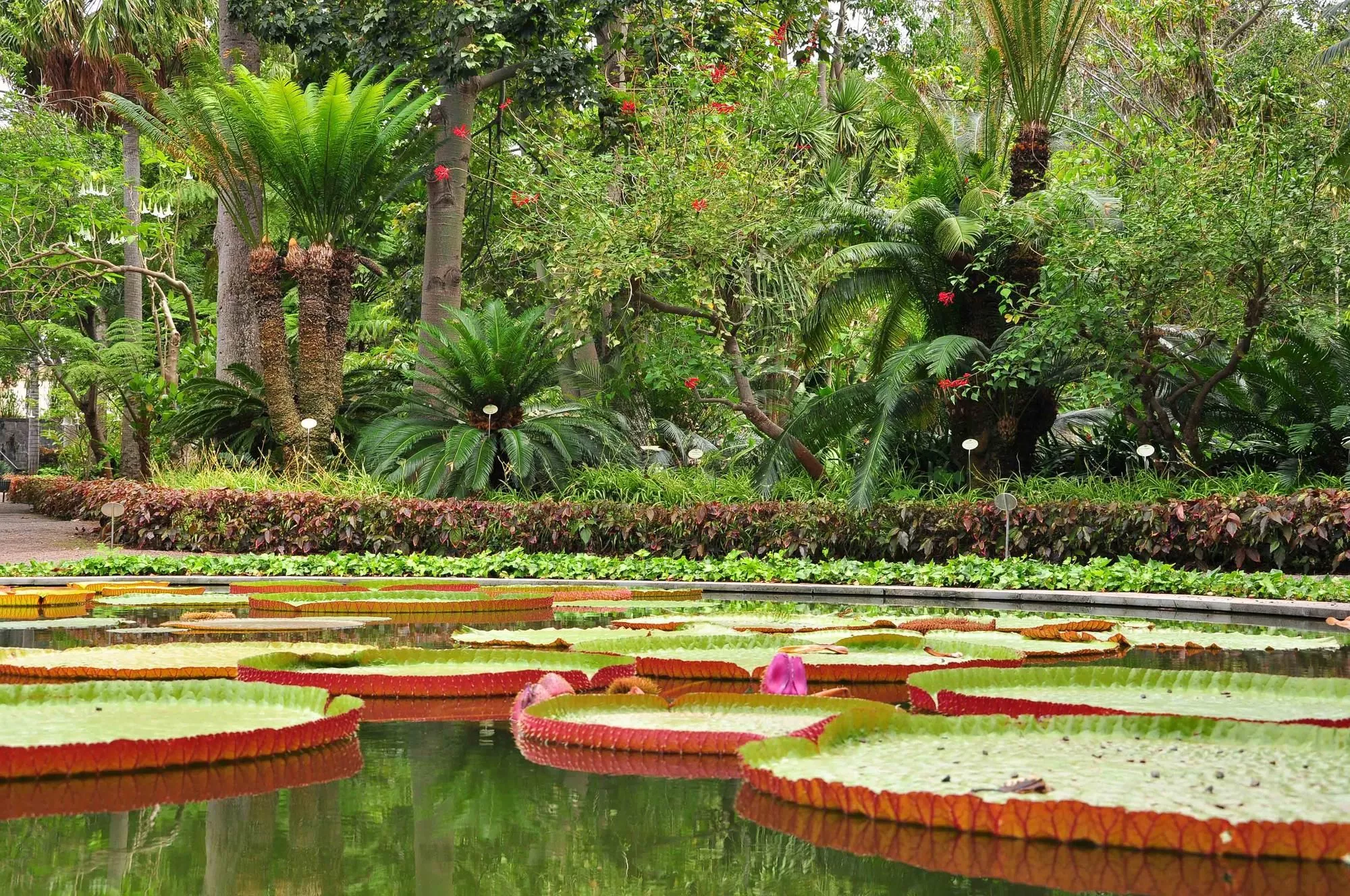Jardin Botanico La Laguna in El Salvador, North America | Botanical Gardens - Rated 4.2