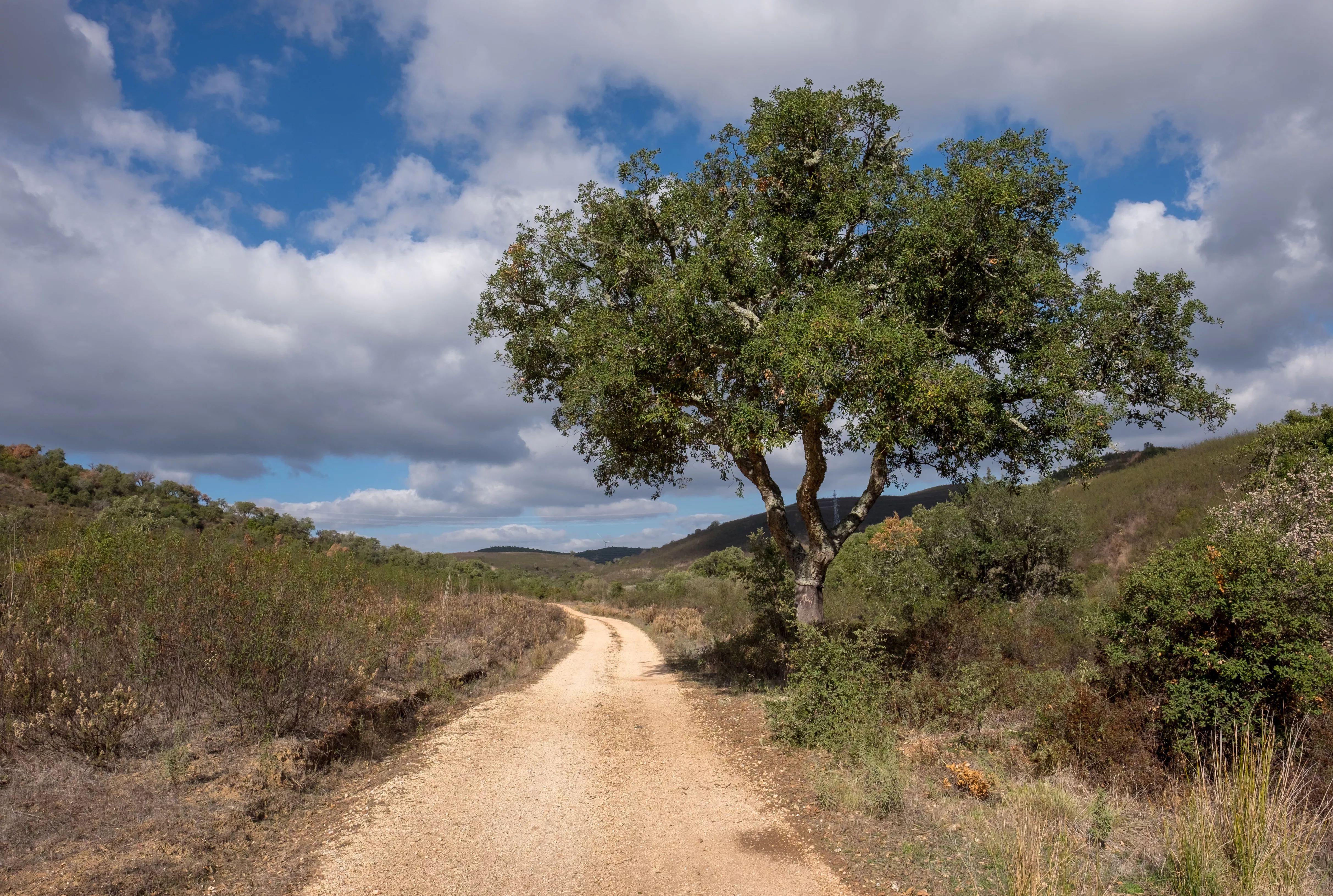 Via Algarviana in Portugal, Europe | Trekking & Hiking - Rated 0.8