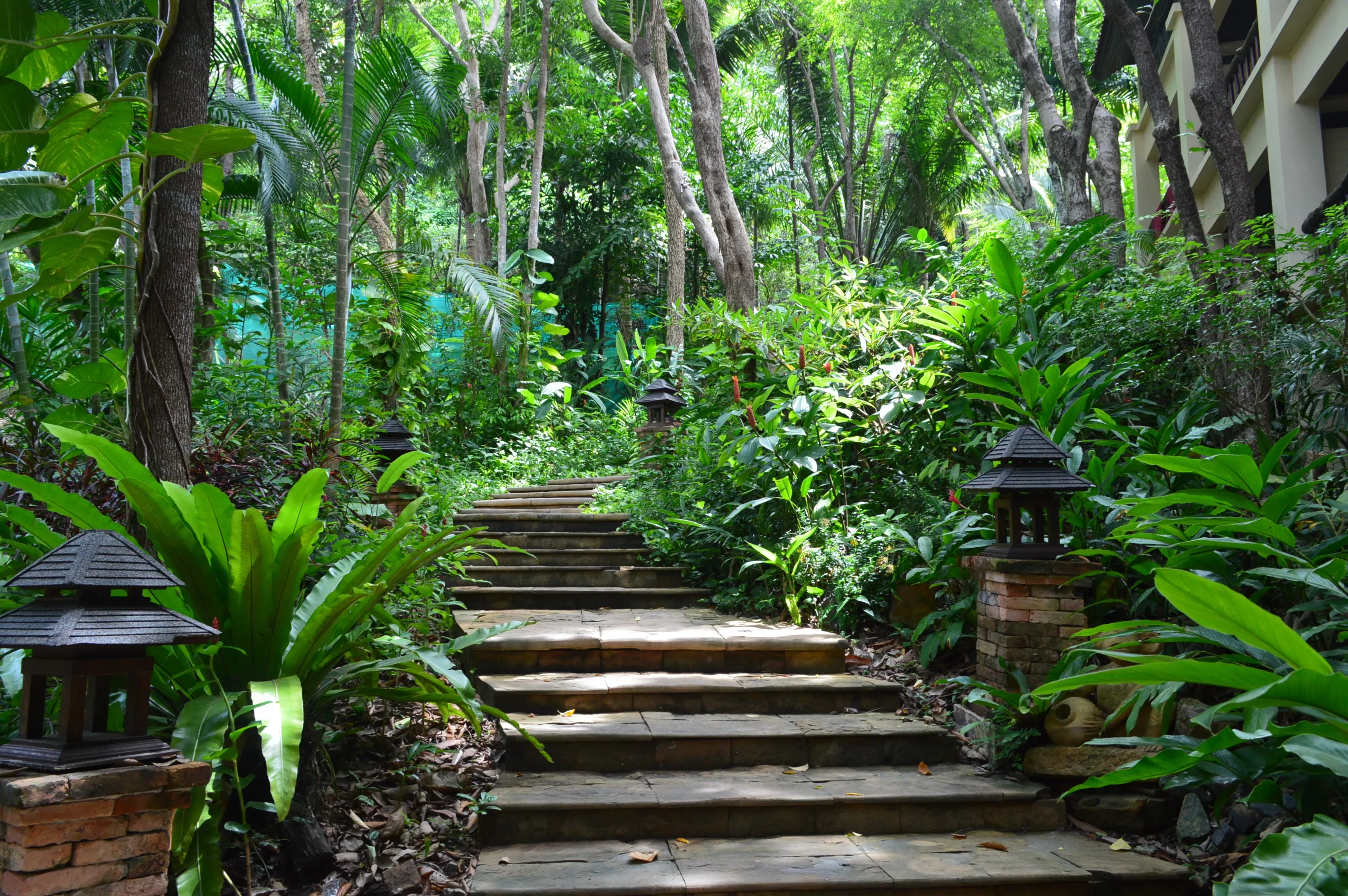 The Blue Harbor Tropical Arboretum in Honduras, North America | Gardens,Trekking & Hiking - Rated 0.8