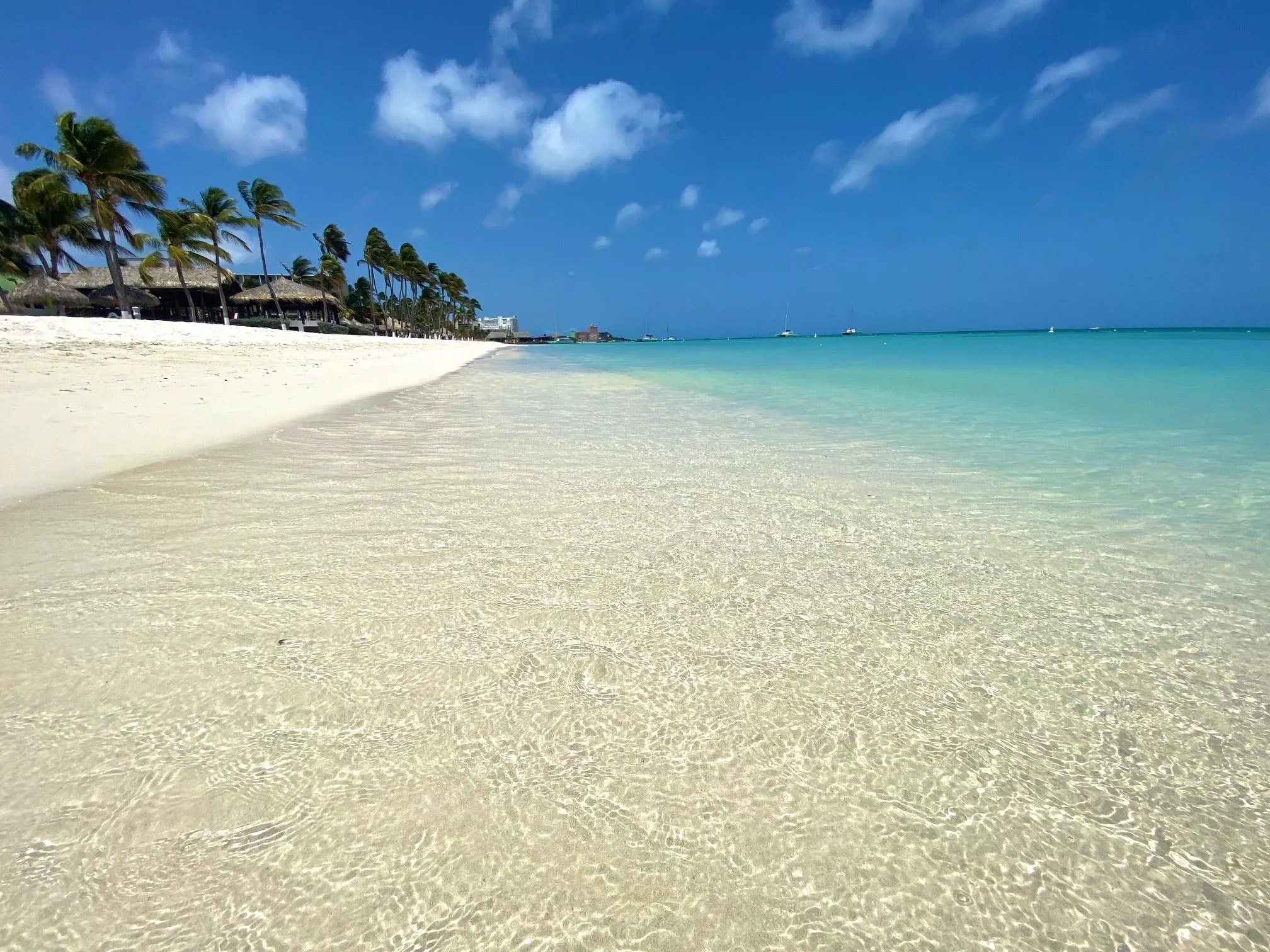 Palm Beach in Aruba, Caribbean | Beaches - Rated 3.5