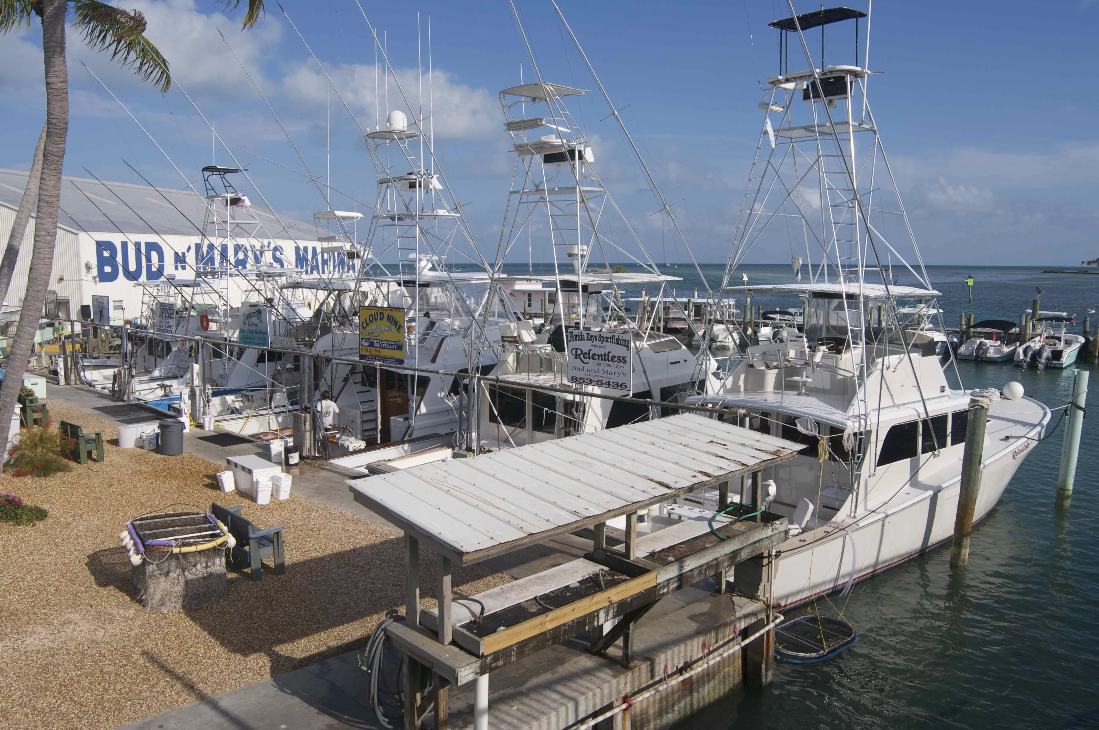 Bud N' Mary's Marina in USA, North America | Fishing - Rated 4.5