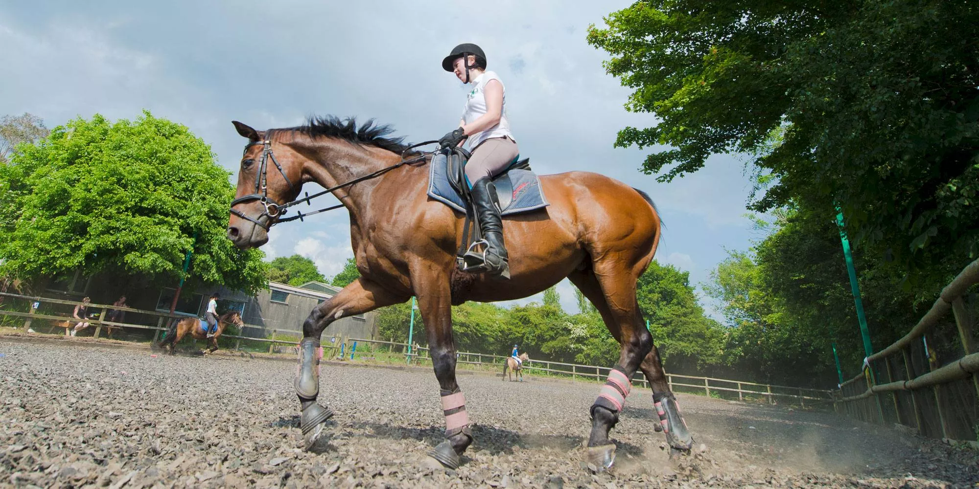 Snowdonia Riding Stables in United Kingdom, Europe | Horseback Riding - Rated 1.1